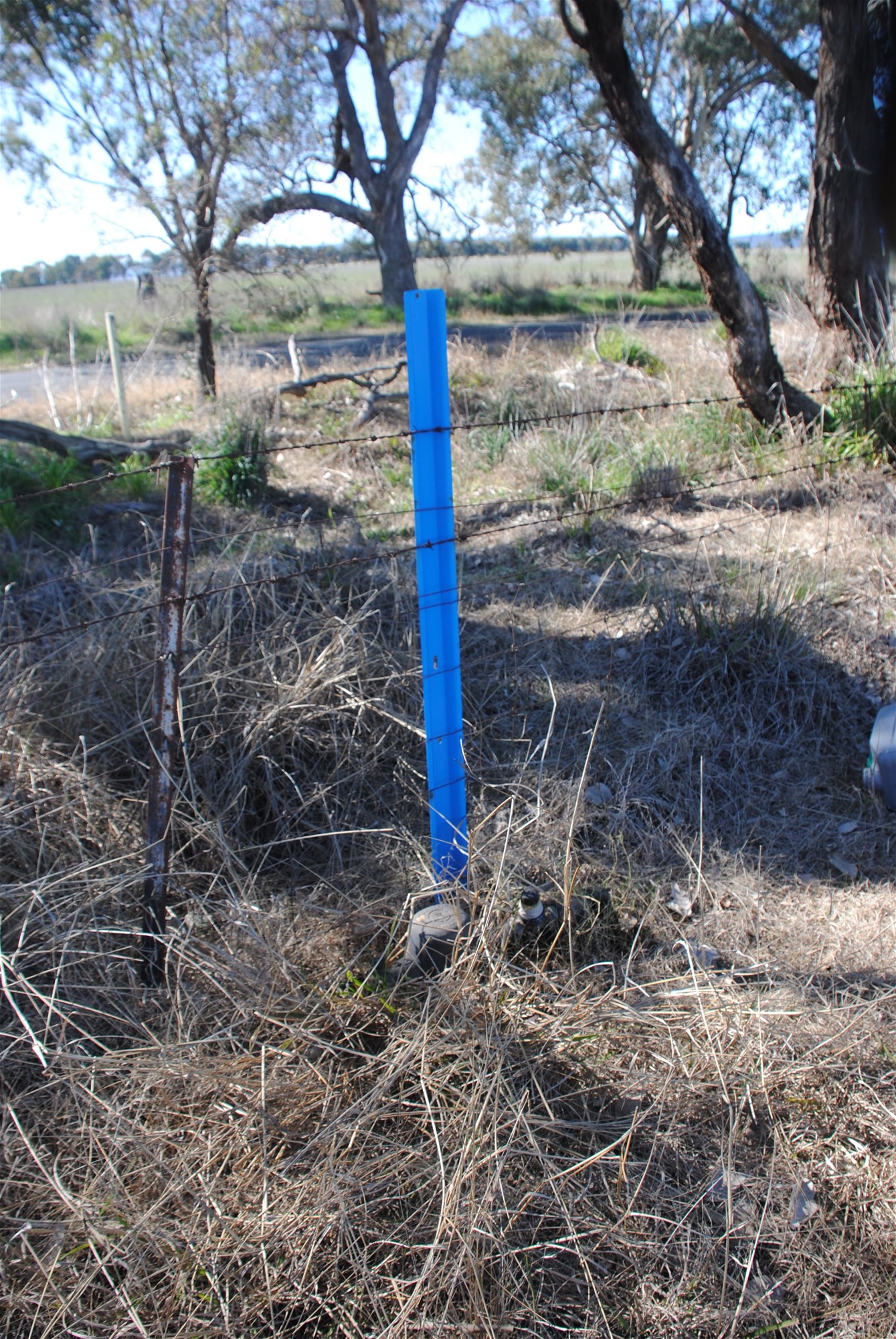 443 Wirrimah Road,Bendick Murrell, Wirrimah For Sale by Farmbuy.com - image 21