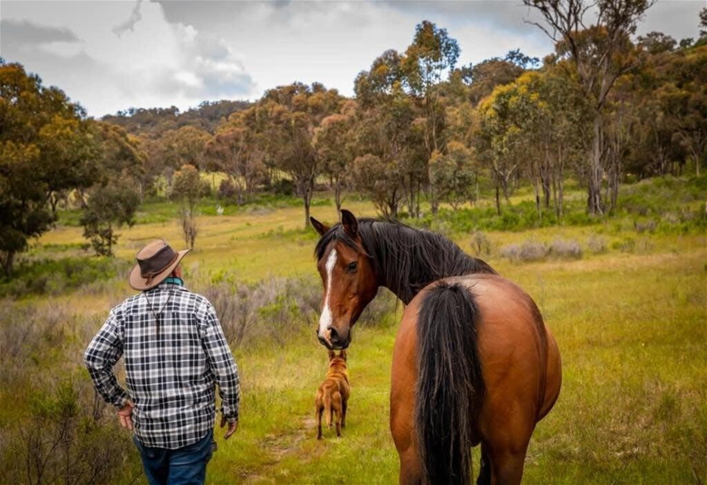 594 Pyramul Road, Windeyer For Sale by Farmbuy.com - image 10
