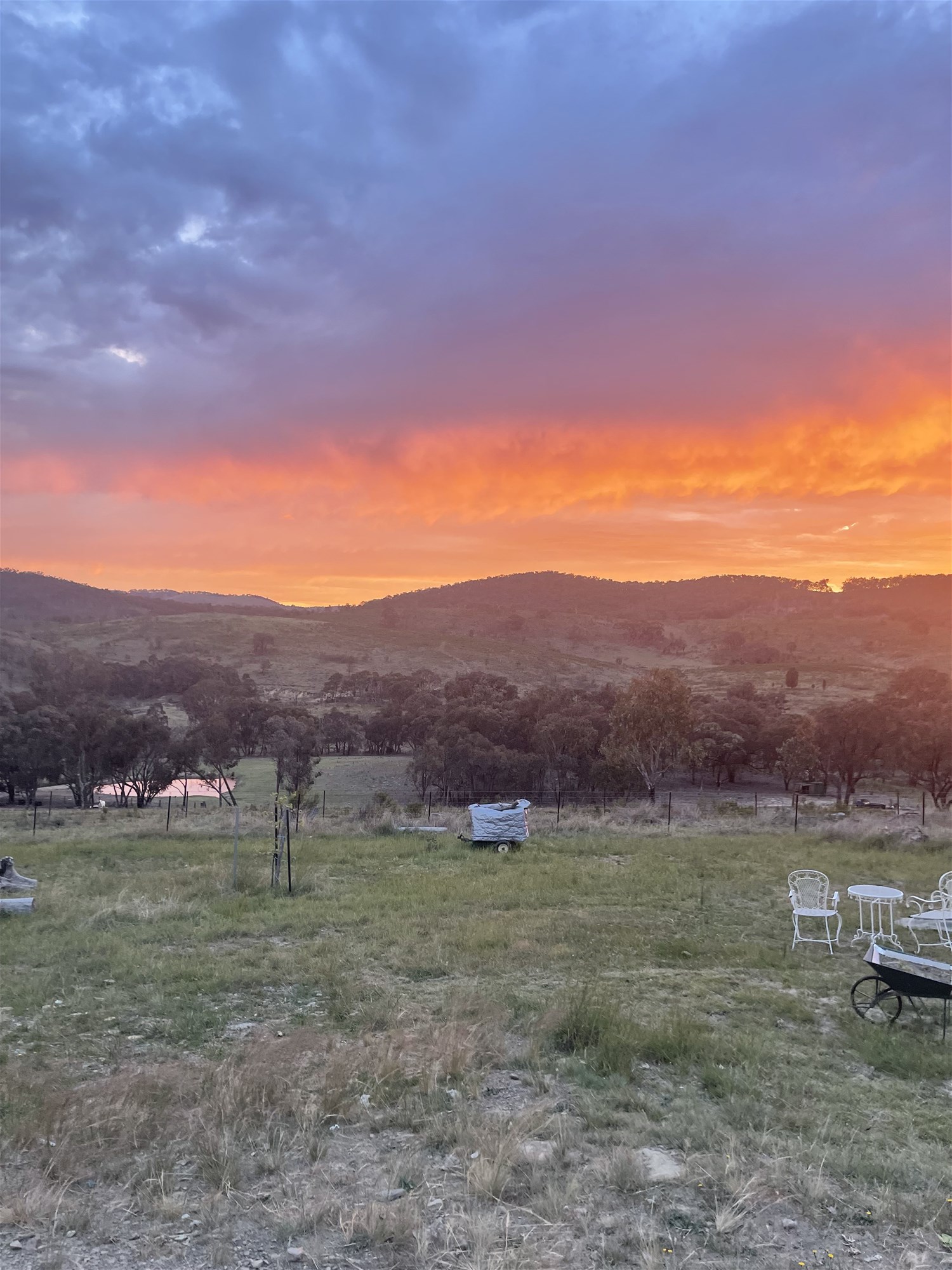 594 Pyramul Road, Windeyer For Sale by Farmbuy.com - image 12