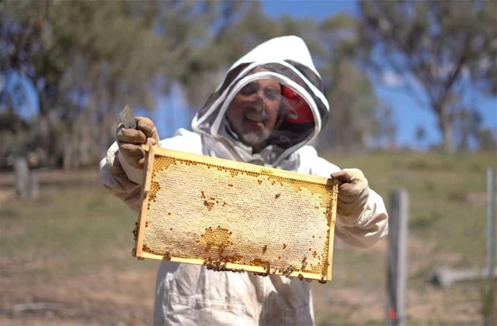 594 Pyramul Road, Windeyer For Sale by Farmbuy.com - image 25