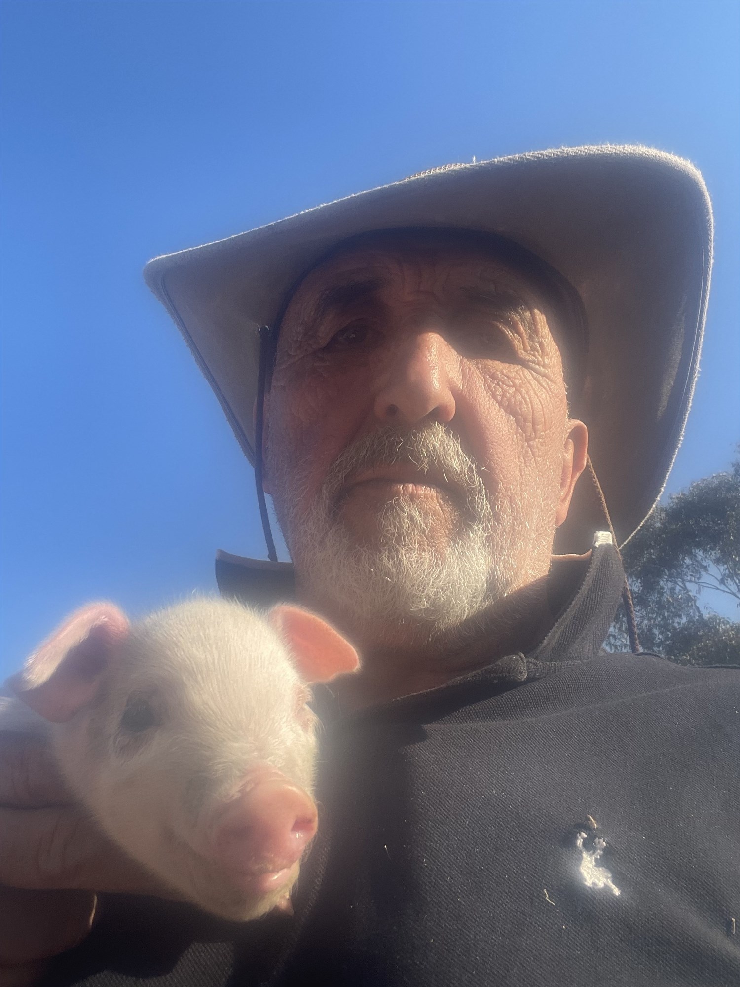 594 Pyramul Road, Windeyer For Sale by Farmbuy.com - image 30