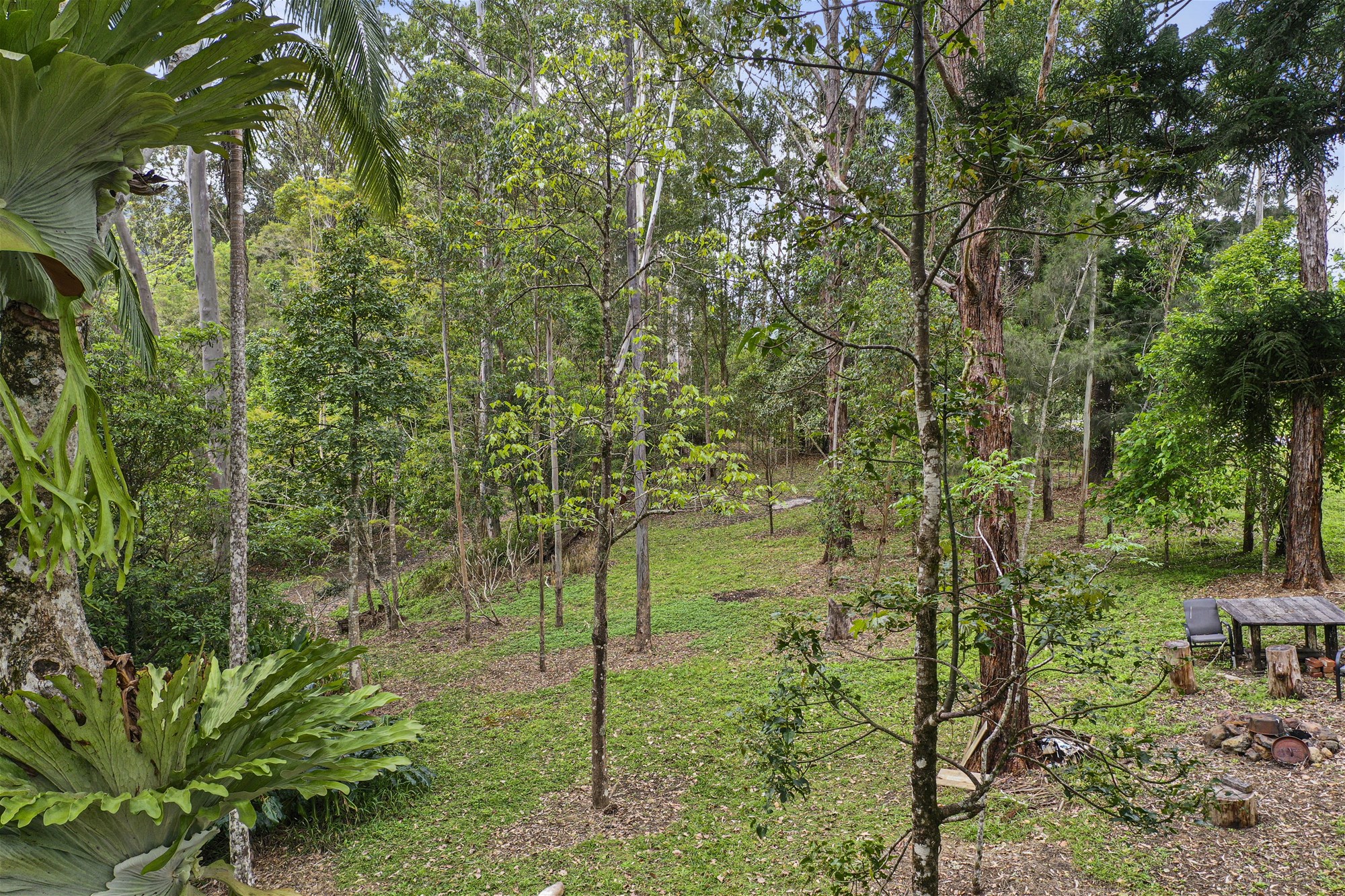 158 Gungas Road, Nimbin For Sale by Farmbuy.com - image 5