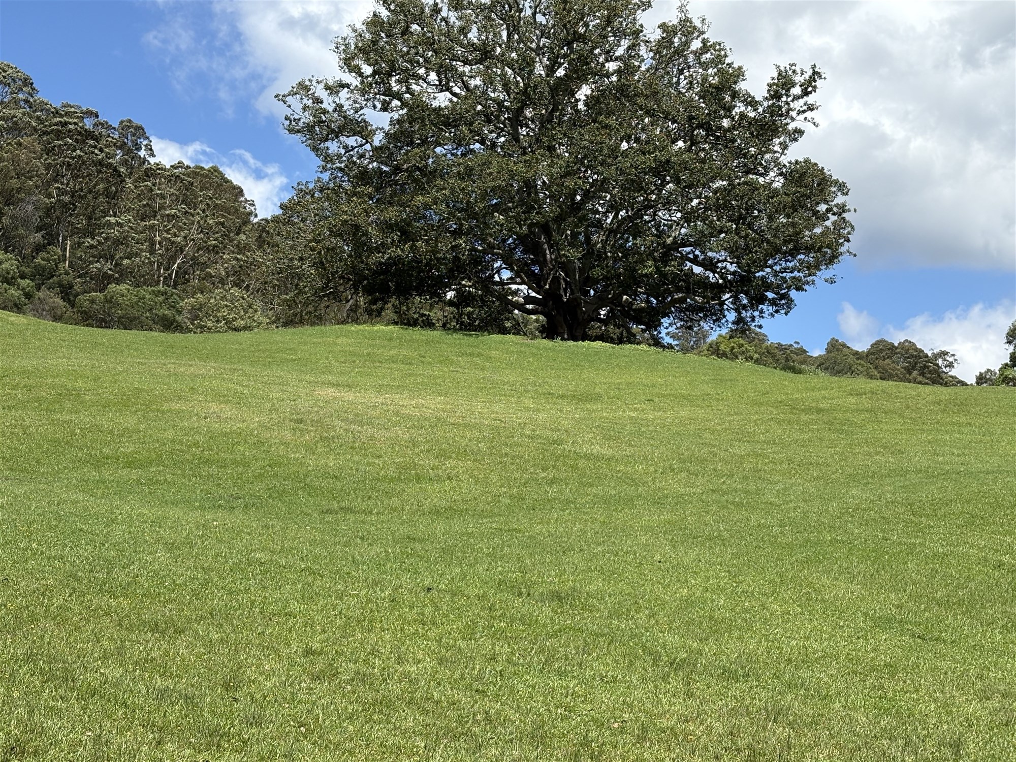 65c Marden Lane, Kangaroo Valley For Sale by Farmbuy.com - image 12