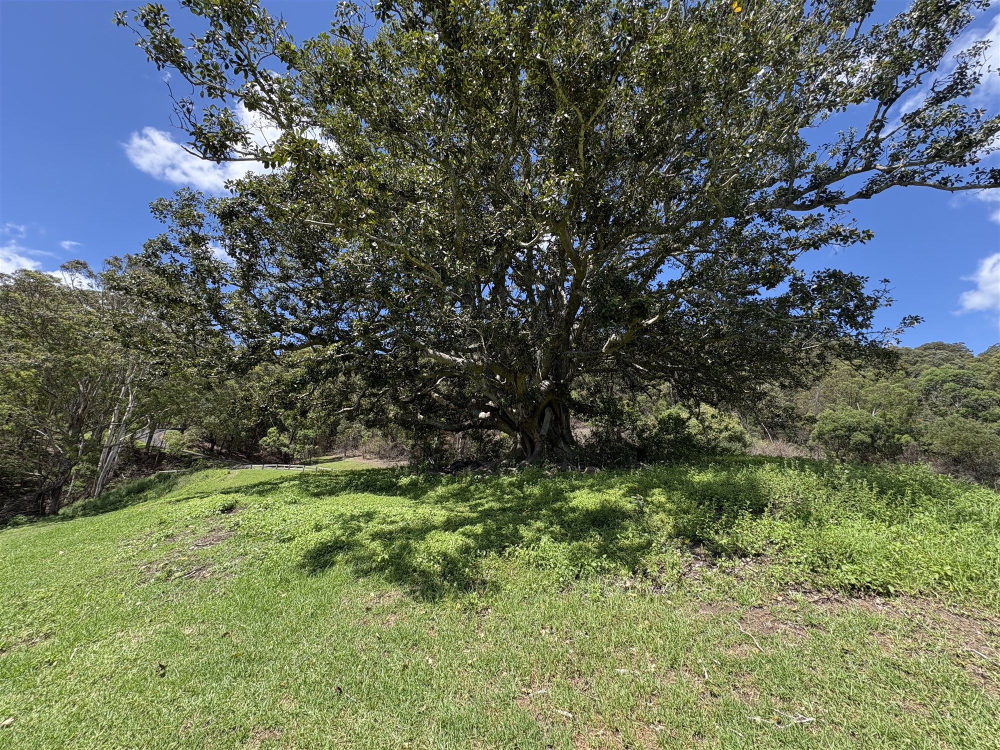 65c Marden Lane, Kangaroo Valley For Sale by Farmbuy.com - image 14