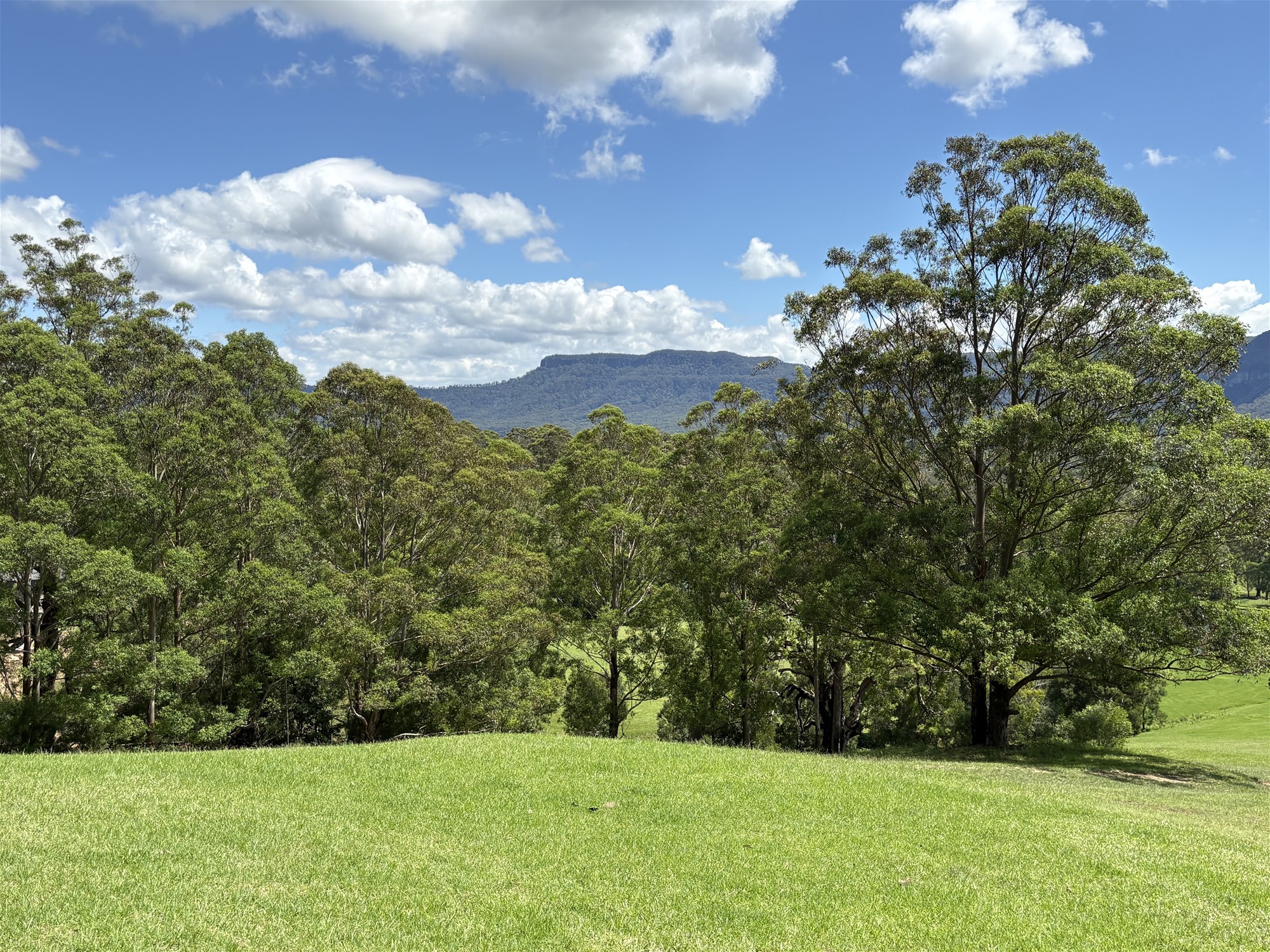 65c Marden Lane, Kangaroo Valley For Sale by Farmbuy.com - image 15