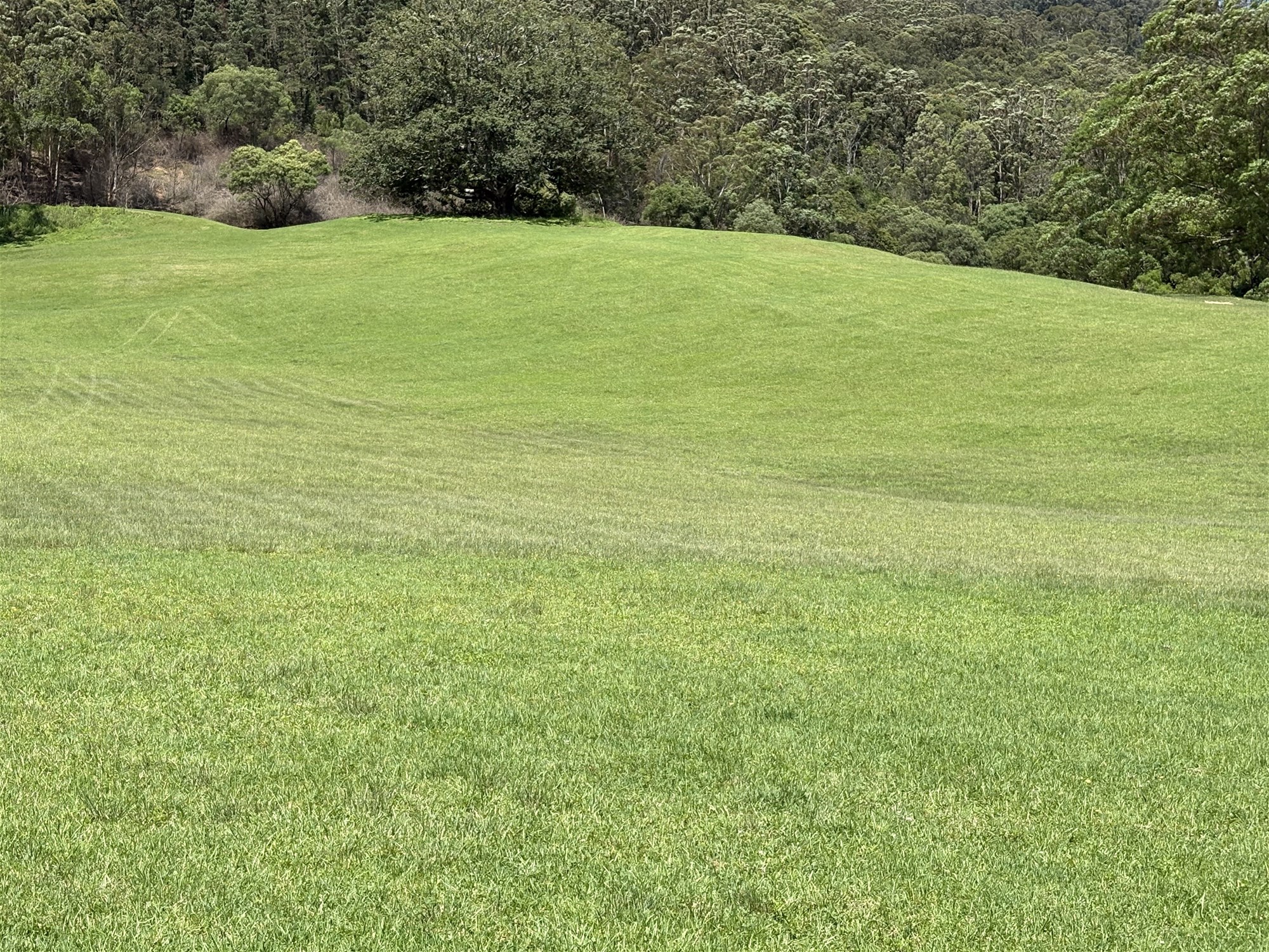 65c Marden Lane, Kangaroo Valley For Sale by Farmbuy.com - image 16