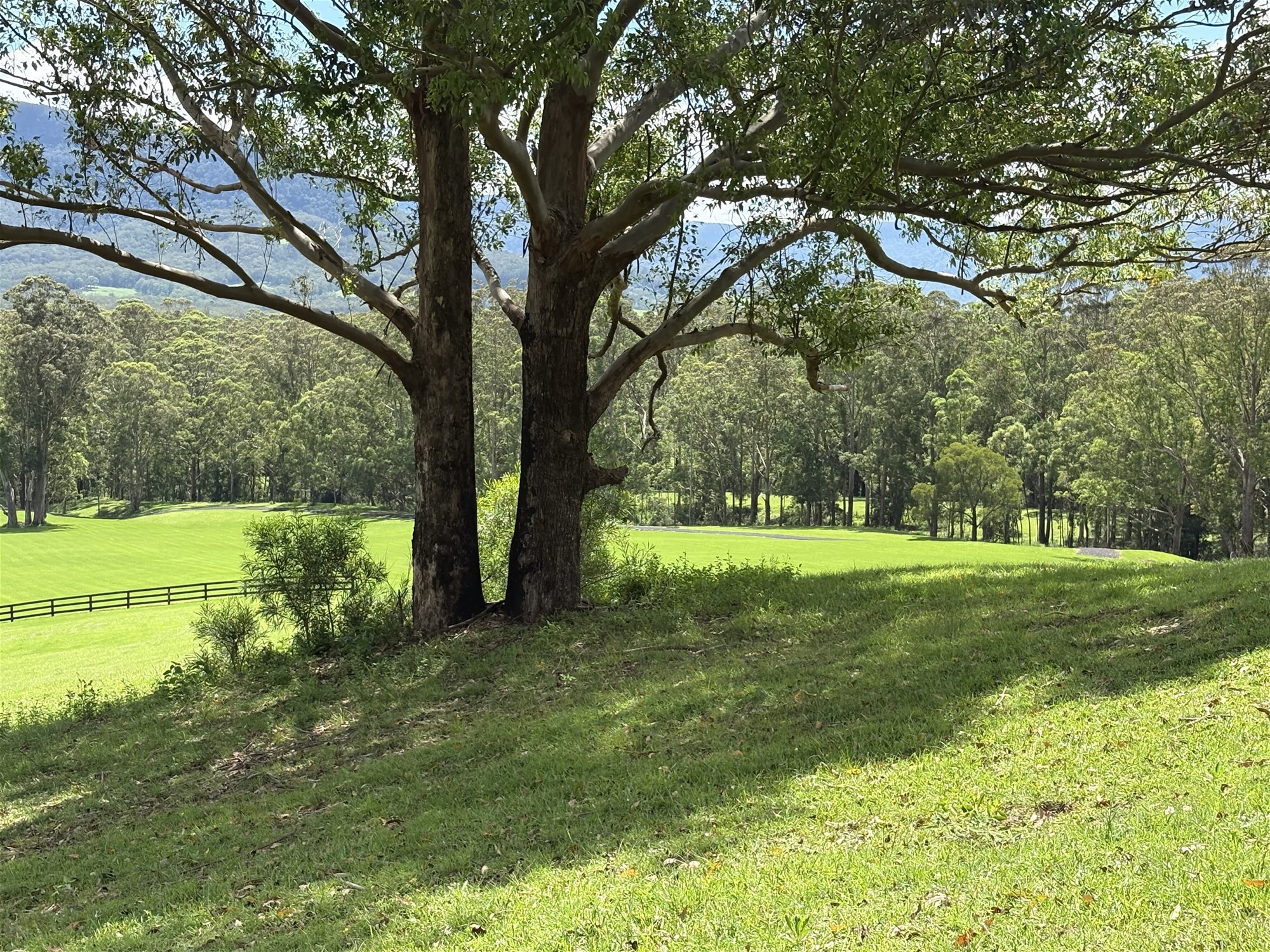 65c Marden Lane, Kangaroo Valley For Sale by Farmbuy.com - image 17