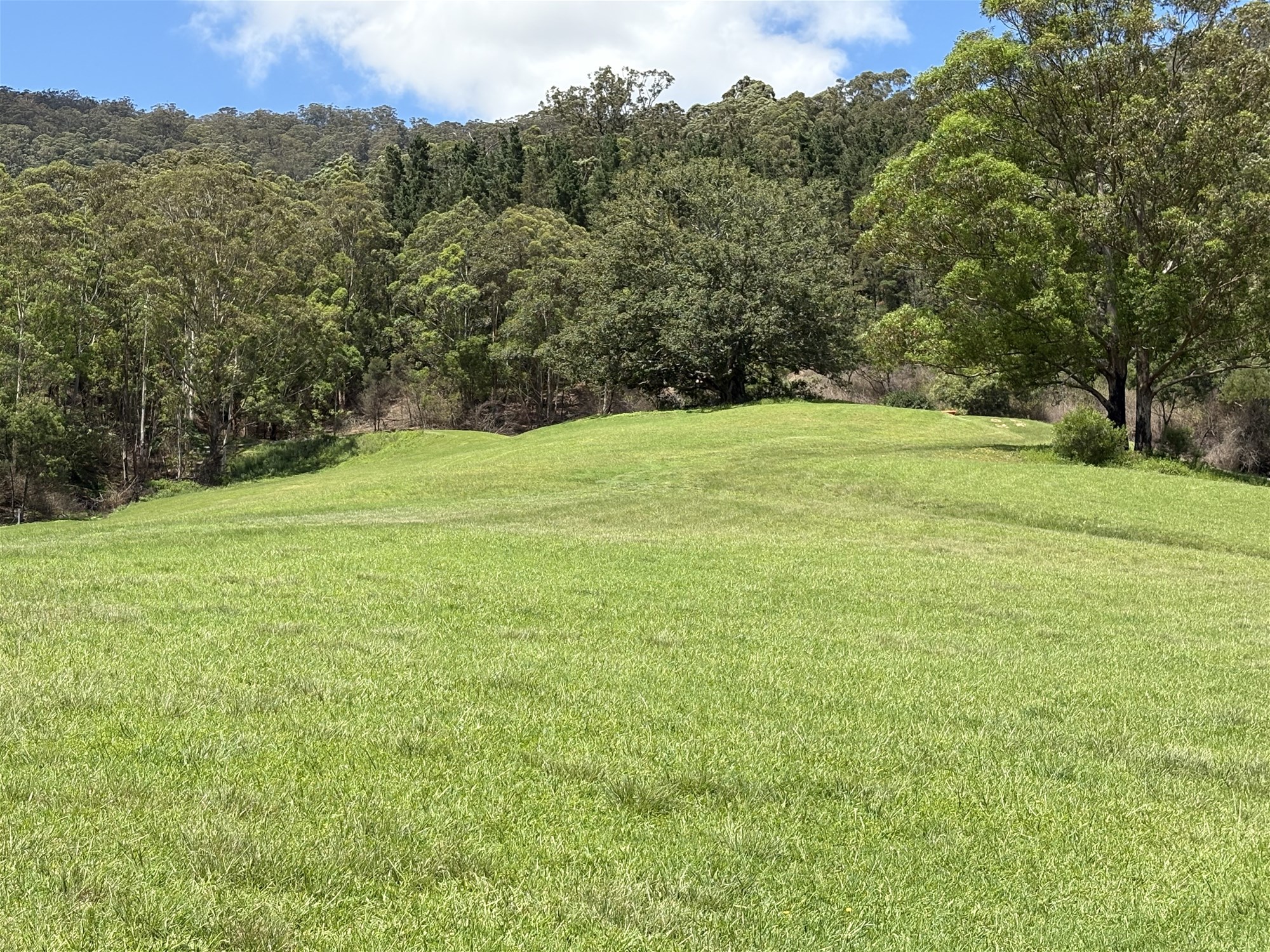 65c Marden Lane, Kangaroo Valley For Sale by Farmbuy.com - image 18