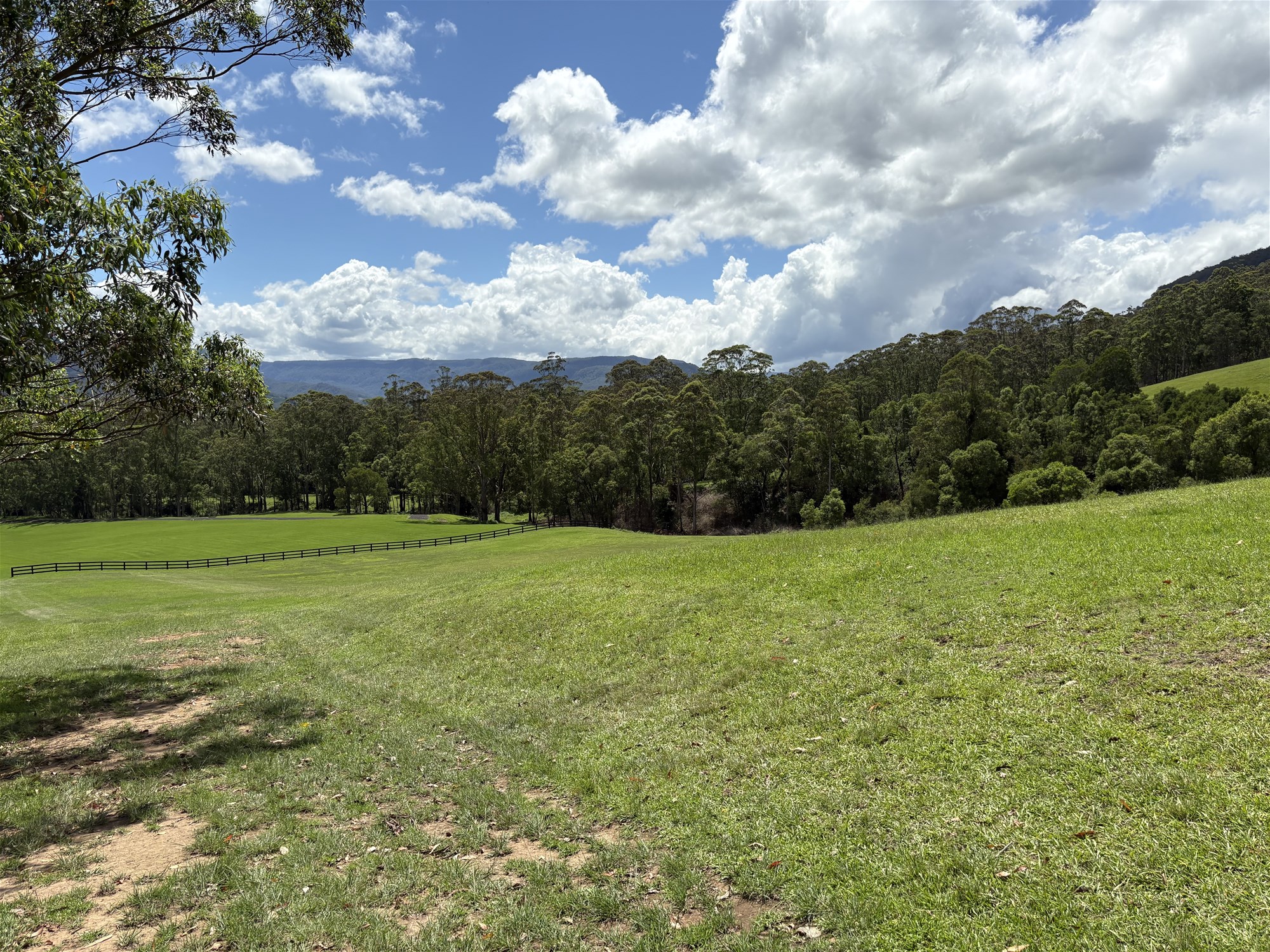 65c Marden Lane, Kangaroo Valley For Sale by Farmbuy.com - image 20