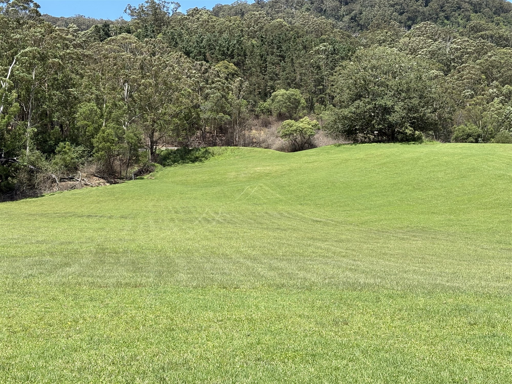 65c Marden Lane, Kangaroo Valley For Sale by Farmbuy.com - image 21