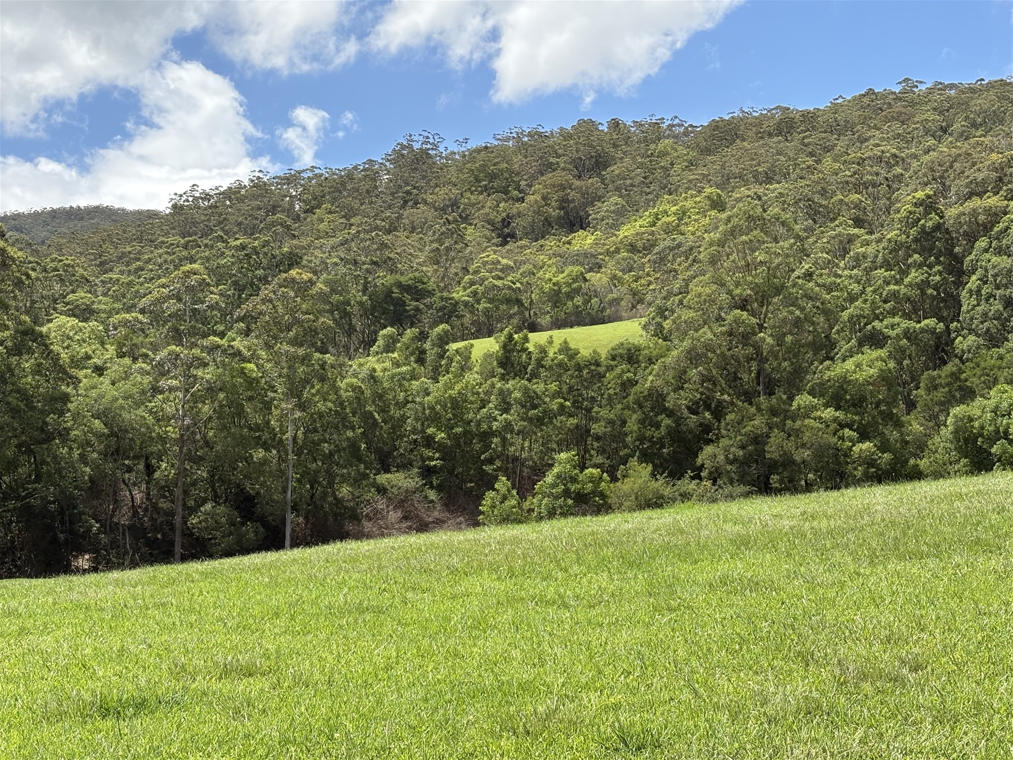 65c Marden Lane, Kangaroo Valley For Sale by Farmbuy.com - image 24