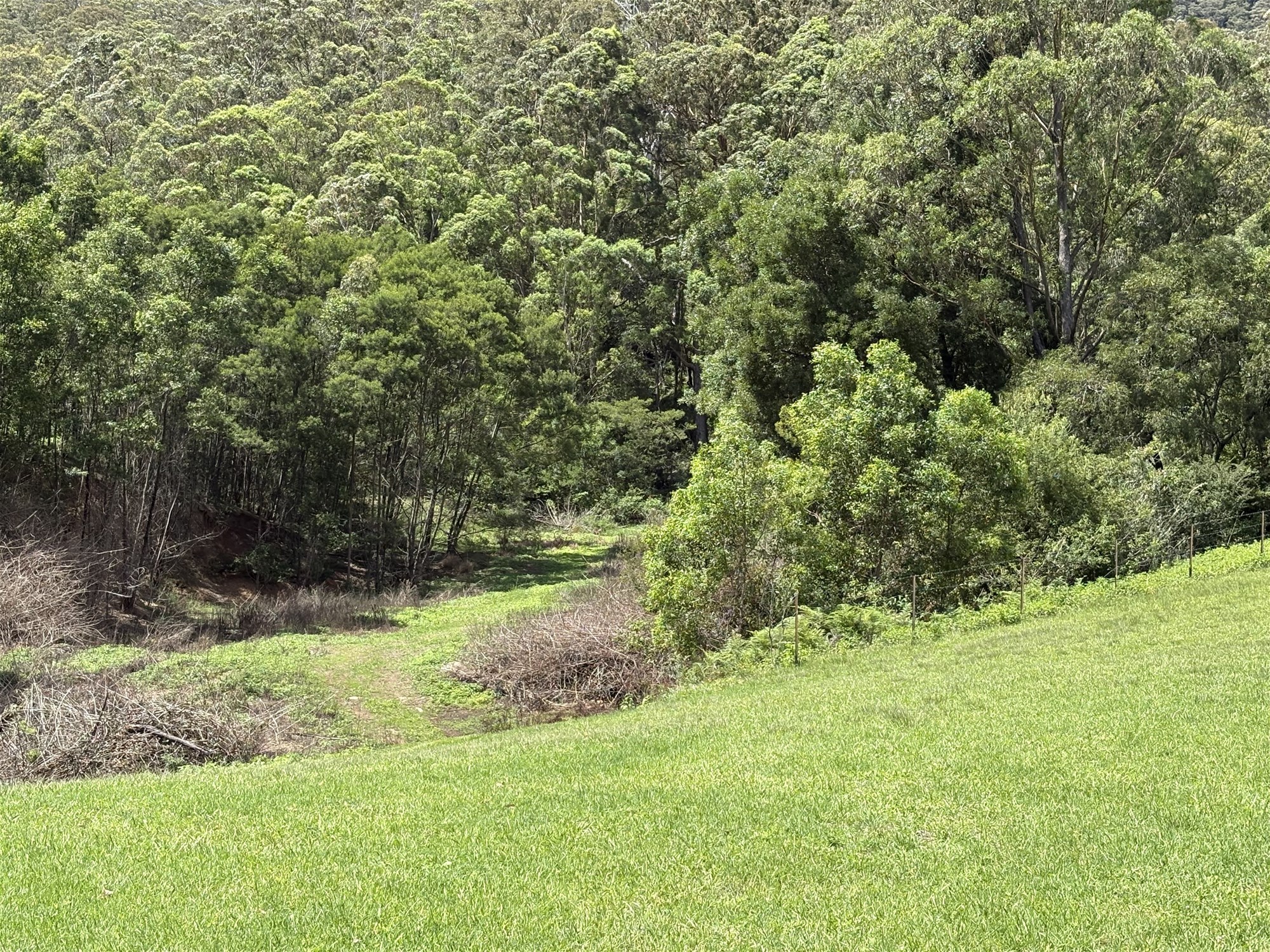 65c Marden Lane, Kangaroo Valley For Sale by Farmbuy.com - image 25