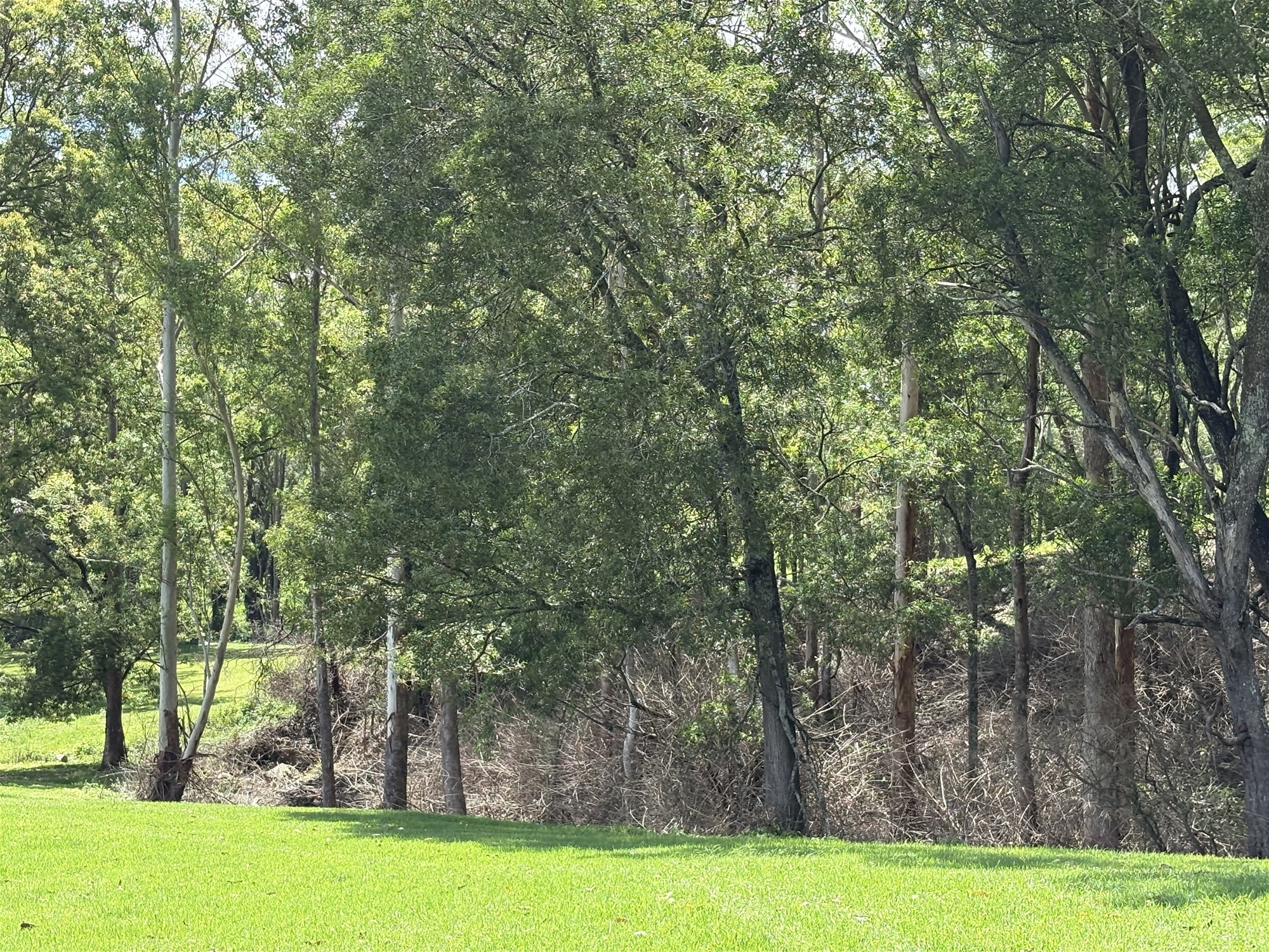 65c Marden Lane, Kangaroo Valley For Sale by Farmbuy.com - image 28