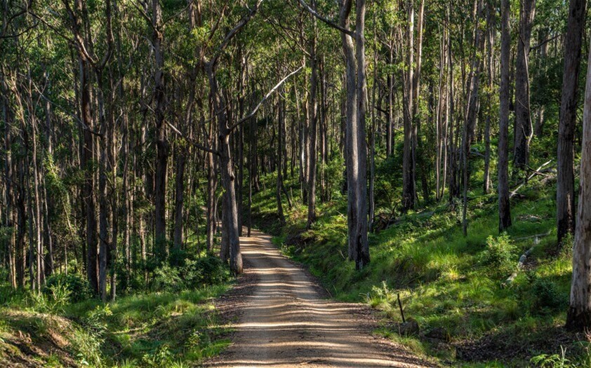 224 Wallaroo Range Road, Willsons Downfall For Sale by Farmbuy.com - image 5