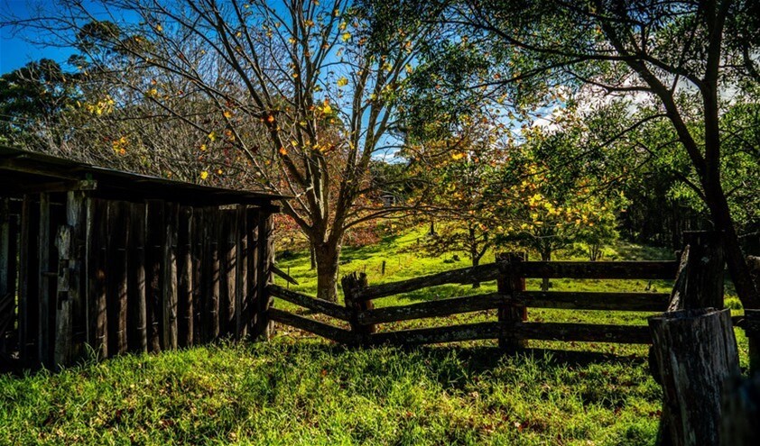 224 Wallaroo Range Road, Willsons Downfall For Sale by Farmbuy.com - image 16