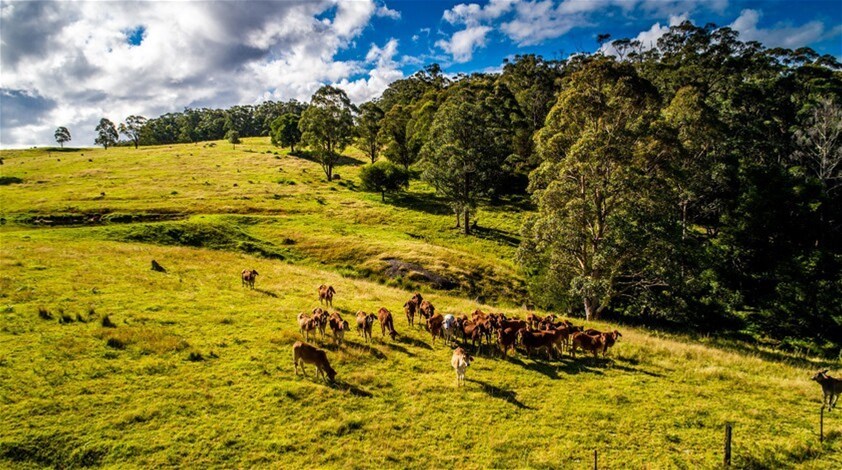 224 Wallaroo Range Road, Willsons Downfall For Sale by Farmbuy.com - image 21