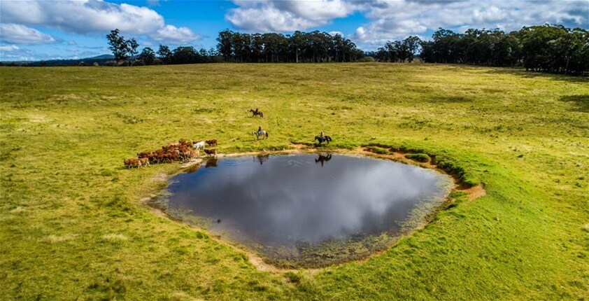 224 Wallaroo Range Road, Willsons Downfall For Sale by Farmbuy.com - image 22