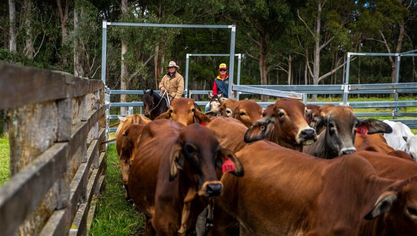 224 Wallaroo Range Road, Willsons Downfall For Sale by Farmbuy.com - image 27