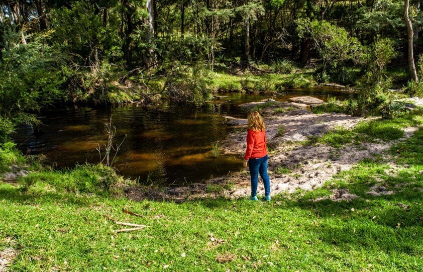 224 Wallaroo Range Road, Willsons Downfall For Sale by Farmbuy.com - image 30