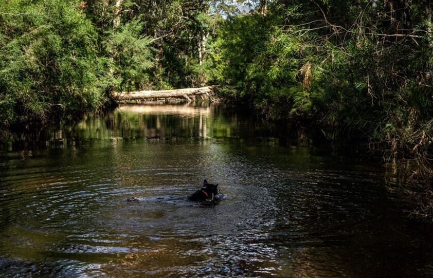 224 Wallaroo Range Road, Willsons Downfall For Sale by Farmbuy.com - image 31