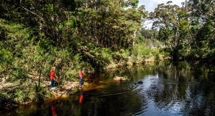224 Wallaroo Range Road, Willsons Downfall For Sale by Farmbuy.com - image 32