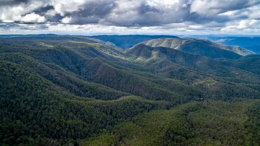 224 Wallaroo Range Road, Willsons Downfall For Sale by Farmbuy.com - image 33