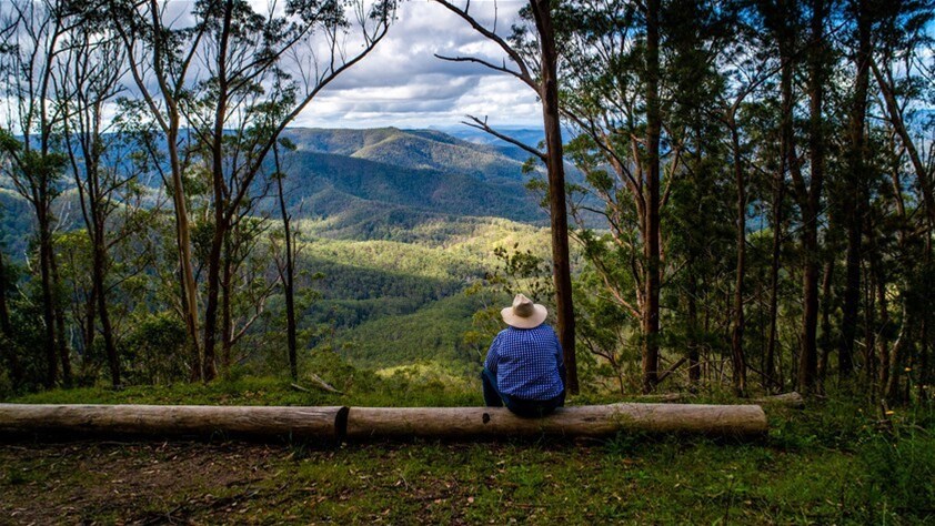 224 Wallaroo Range Road, Willsons Downfall For Sale by Farmbuy.com - image 34