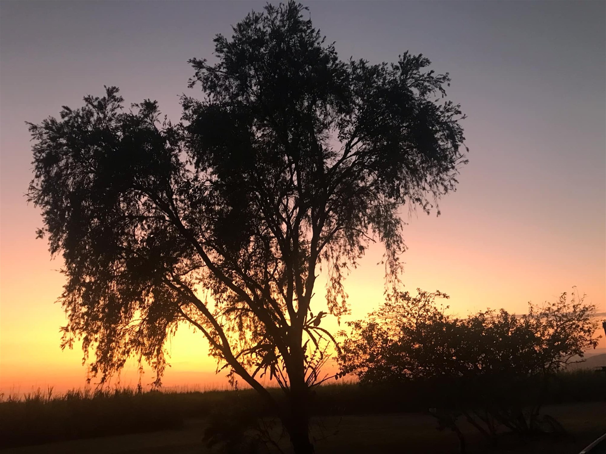 268 Eton/Homebush Rd, Eton For Sale by Farmbuy.com - image 9