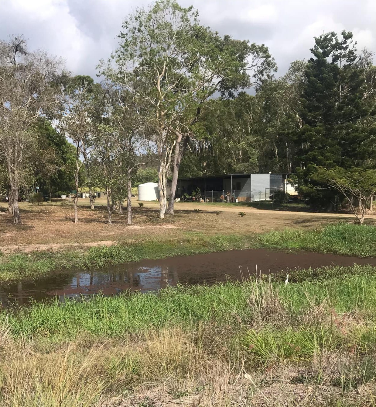 268 Eton/Homebush Rd, Eton For Sale by Farmbuy.com - image 10