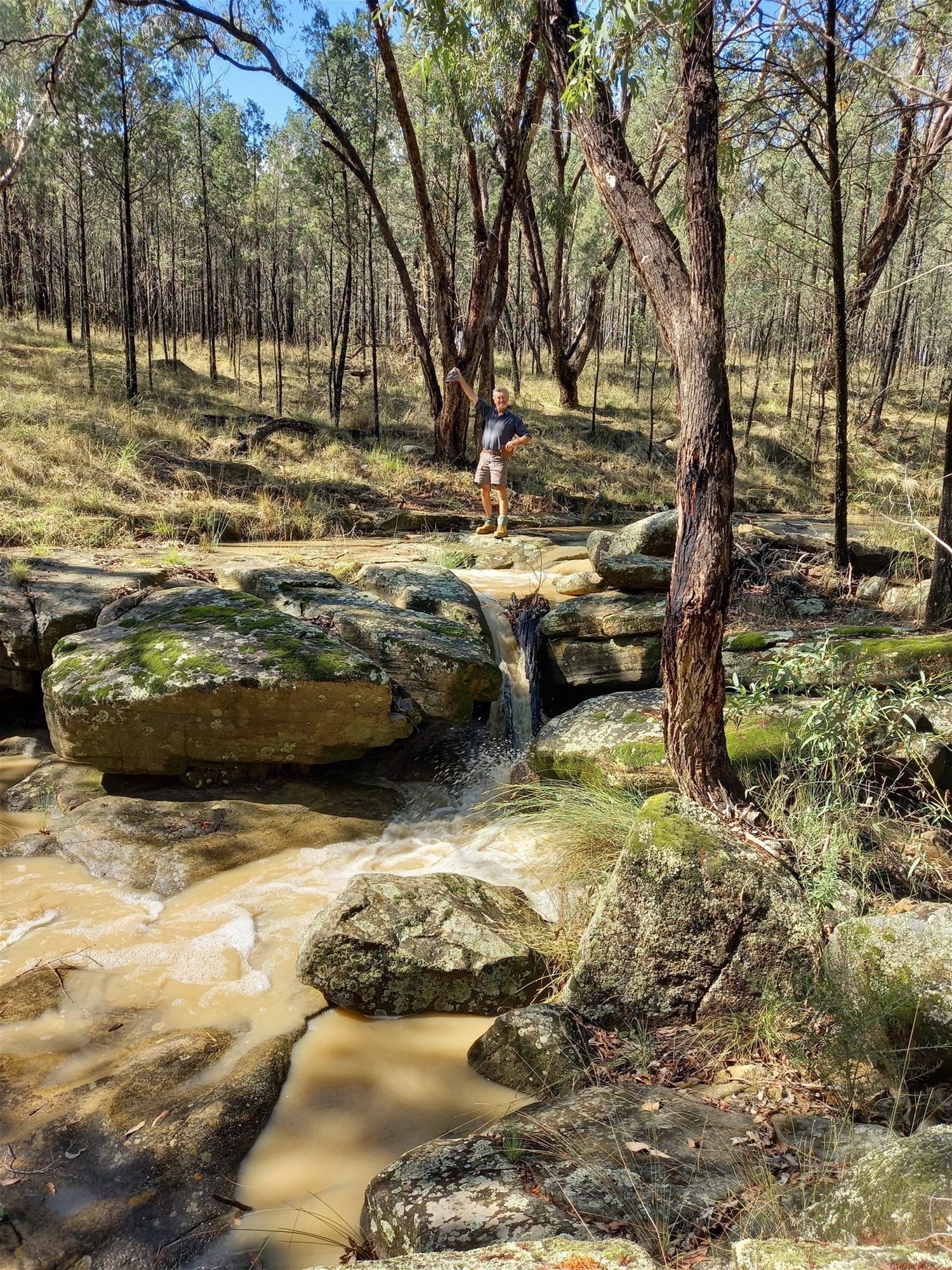 325 Toorawandi Road, Ulamambri For Sale by Farmbuy.com - image 4