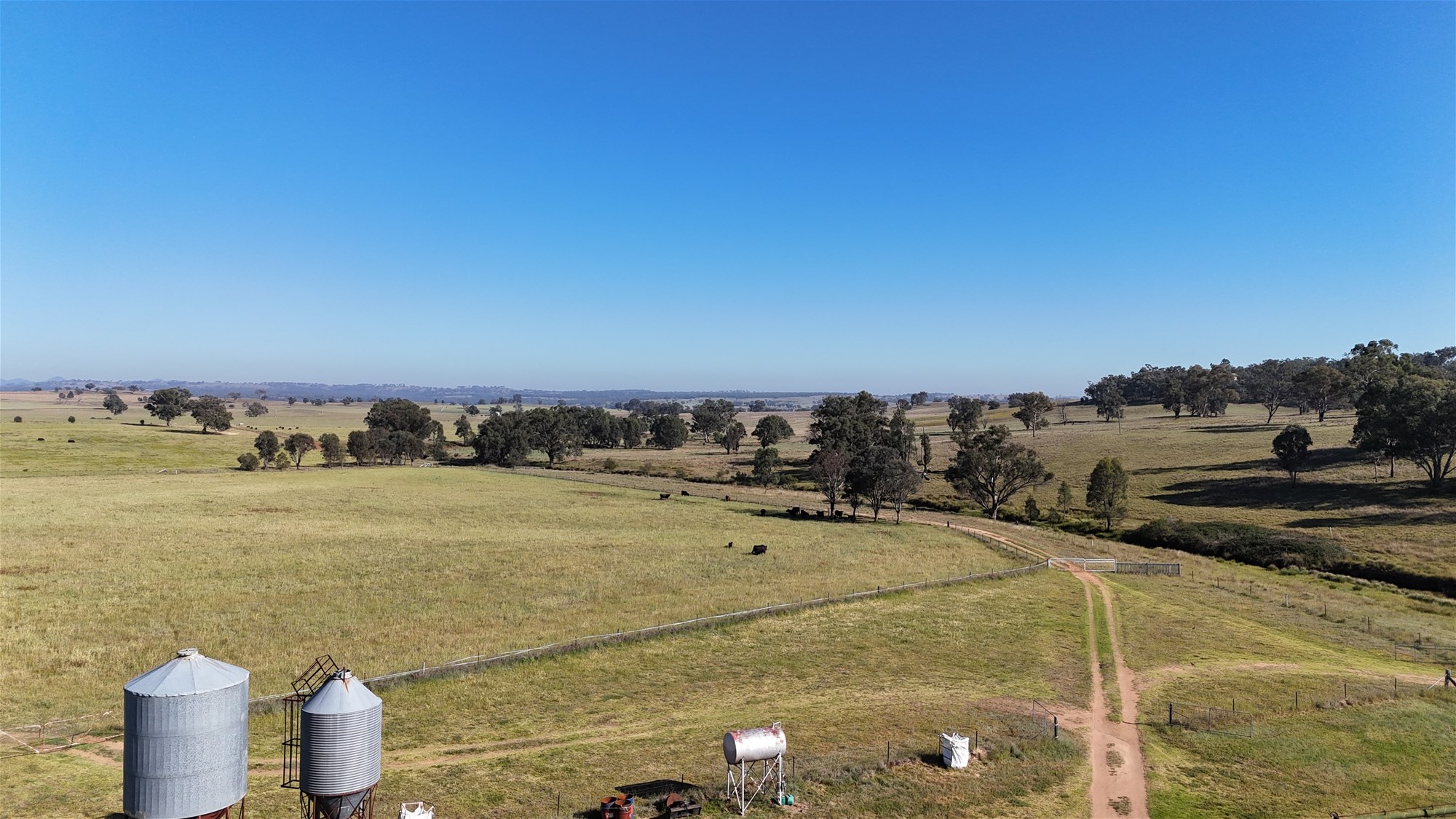 325 Toorawandi Road, Ulamambri For Sale by Farmbuy.com - image 5