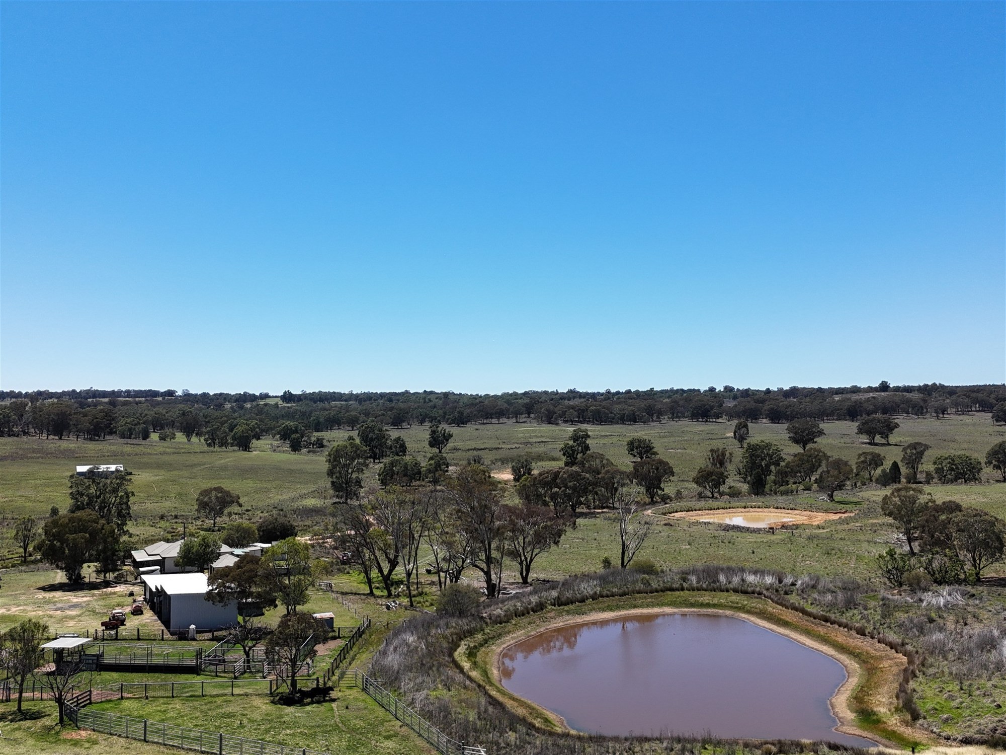 325 Toorawandi Road, Ulamambri For Sale by Farmbuy.com - image 7