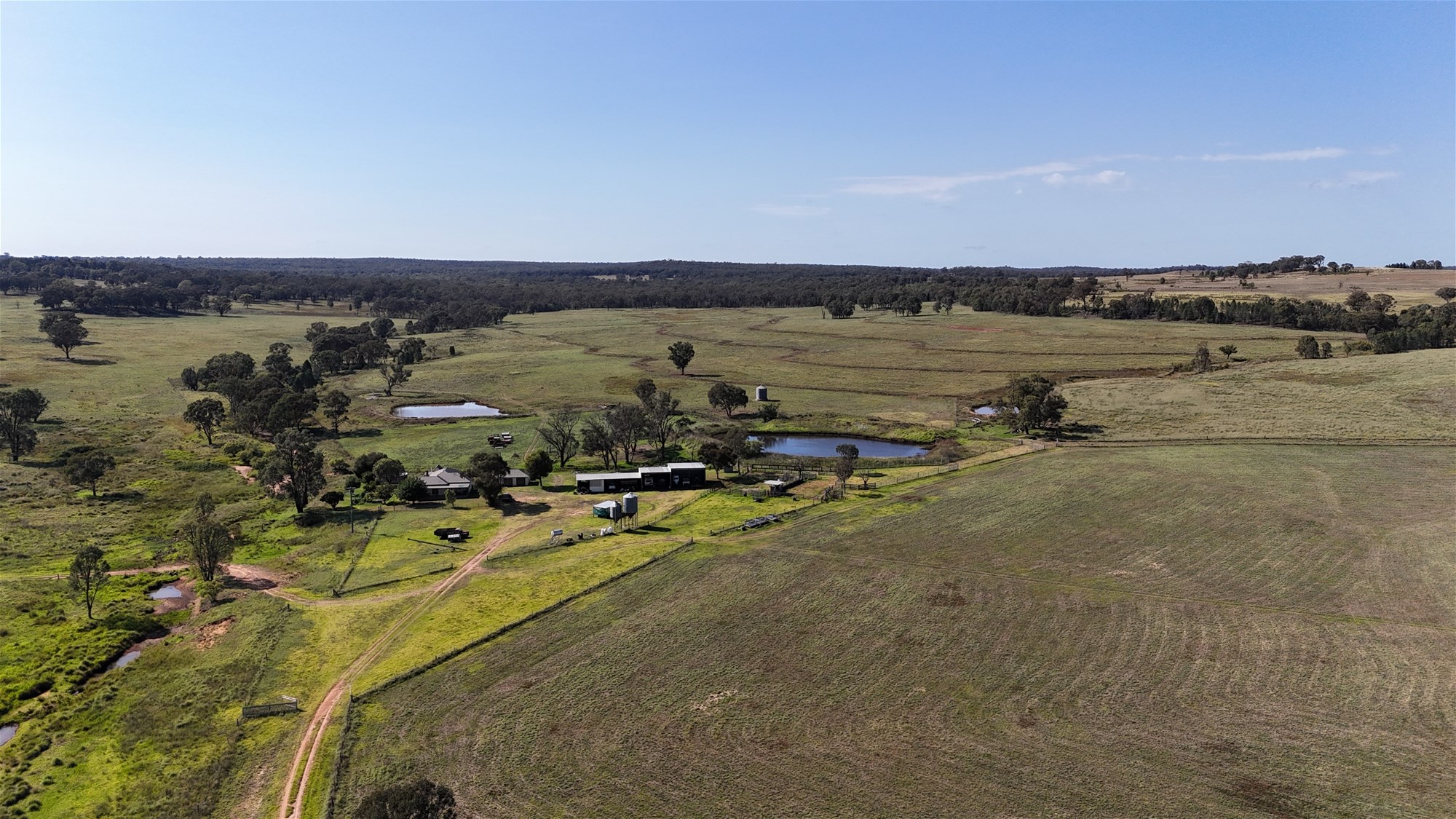 325 Toorawandi Road, Ulamambri For Sale by Farmbuy.com - image 10