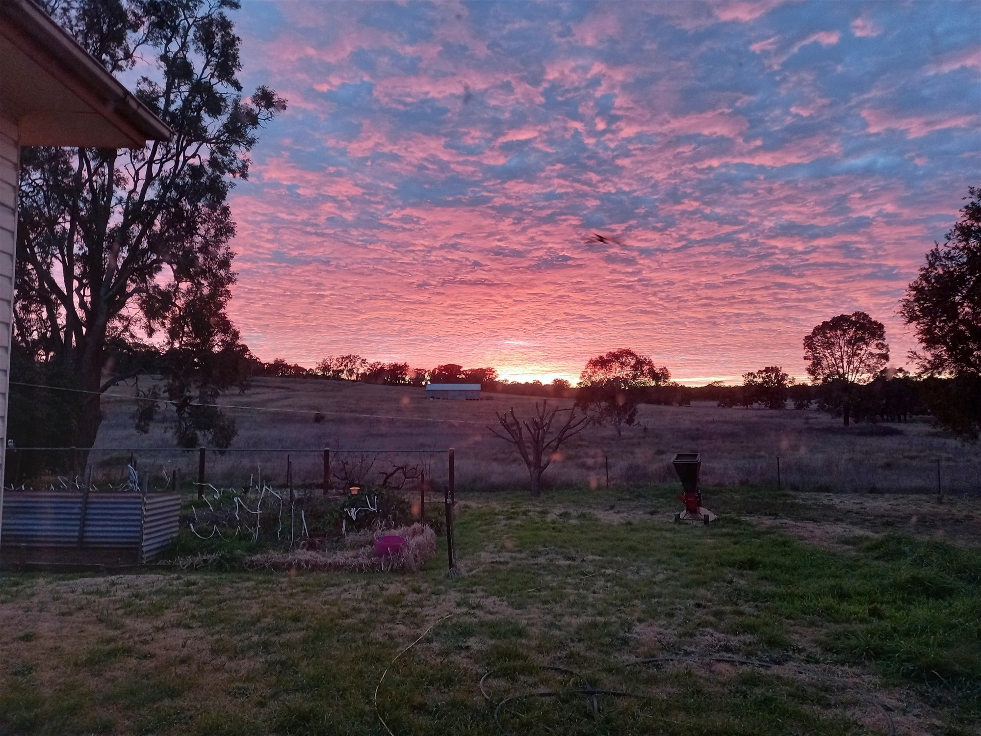 325 Toorawandi Road, Ulamambri For Sale by Farmbuy.com - image 15