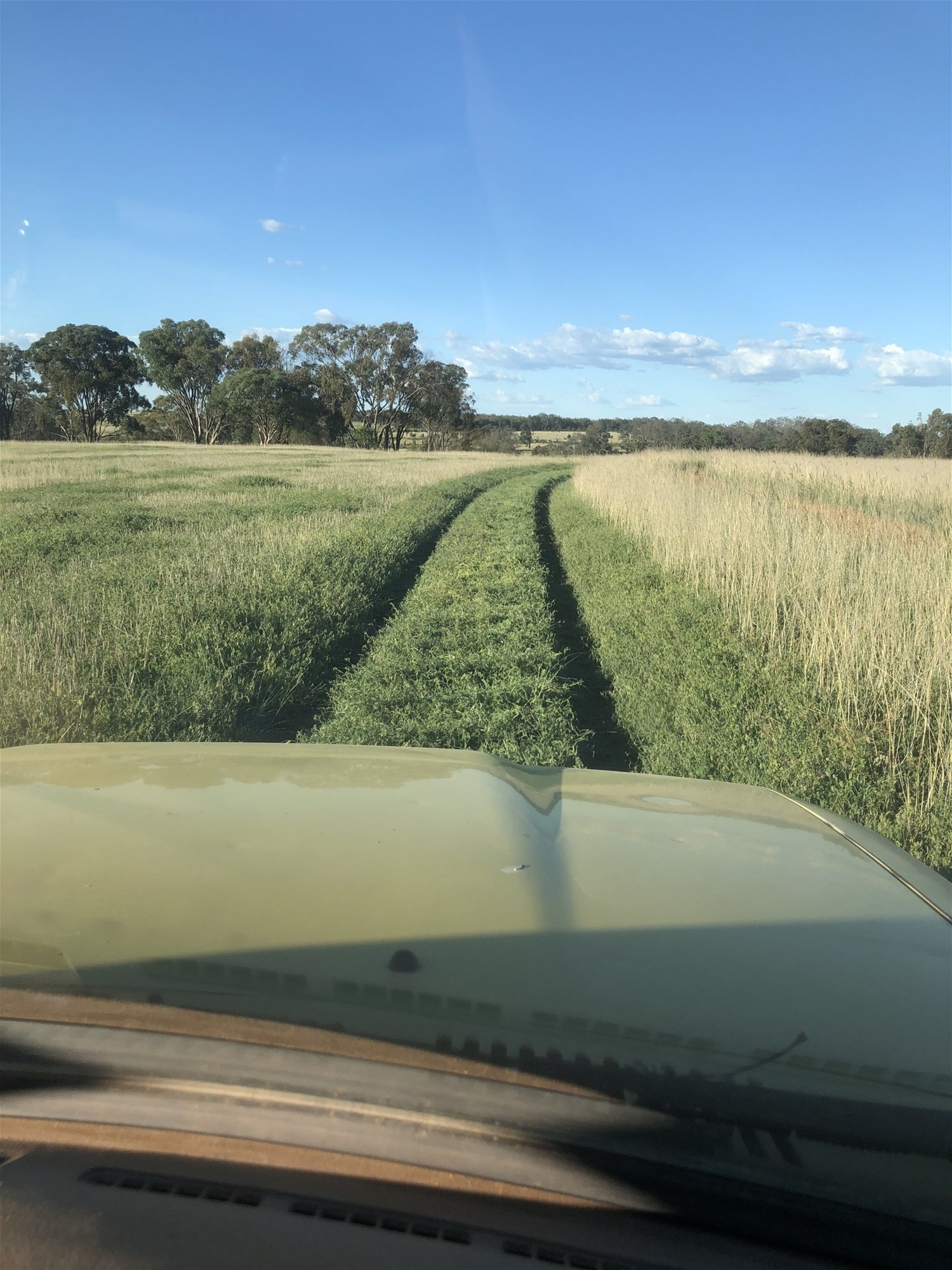 325 Toorawandi Road, Ulamambri For Sale by Farmbuy.com - image 25