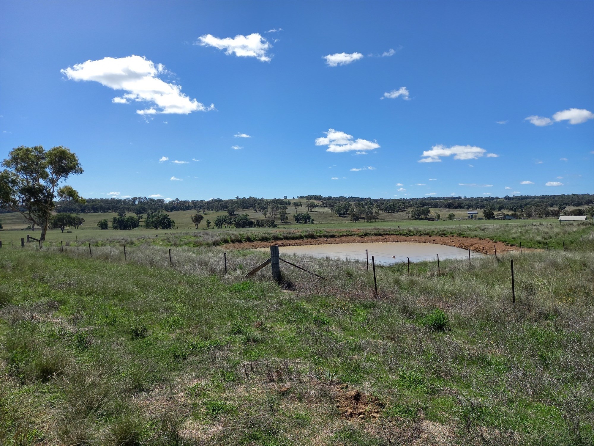 325 Toorawandi Road, Ulamambri For Sale by Farmbuy.com - image 27