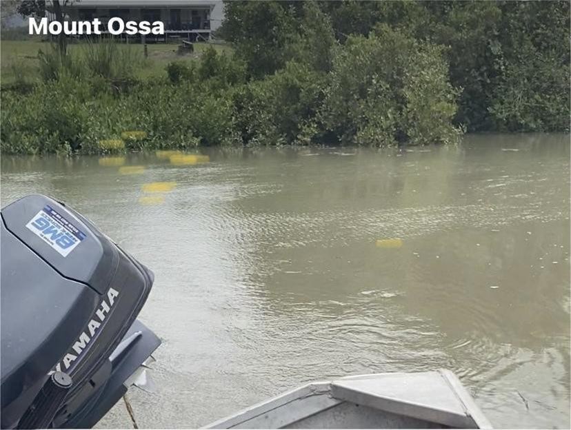 104 Mount Ossa Seaforth Road, Mount Ossa For Sale by Farmbuy.com - image 3