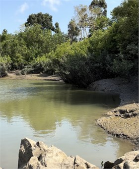 104 Mount Ossa Seaforth Road, Mount Ossa For Sale by Farmbuy.com - image 5