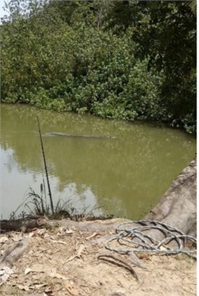 104 Mount Ossa Seaforth Road, Mount Ossa For Sale by Farmbuy.com - image 8