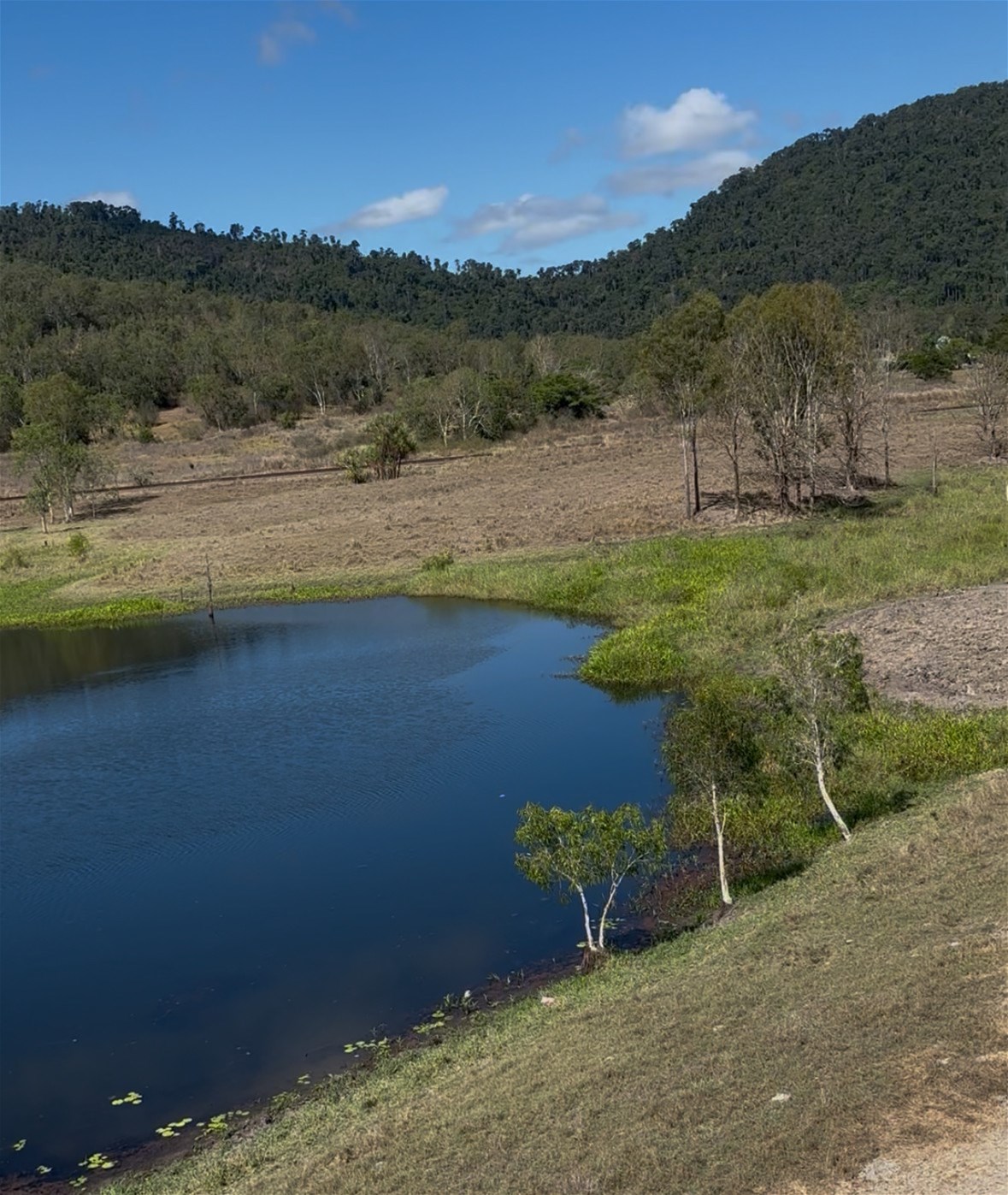 104 Mount Ossa Seaforth Road, Mount Ossa For Sale by Farmbuy.com - image 13