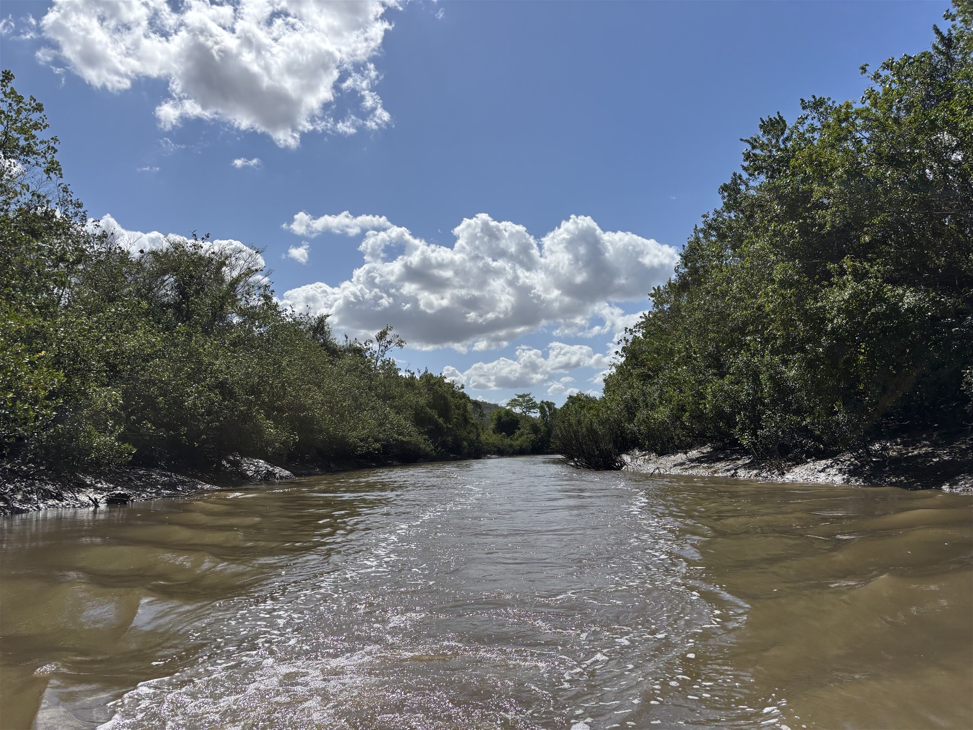 104 Mount Ossa Seaforth Road, Mount Ossa For Sale by Farmbuy.com - image 14