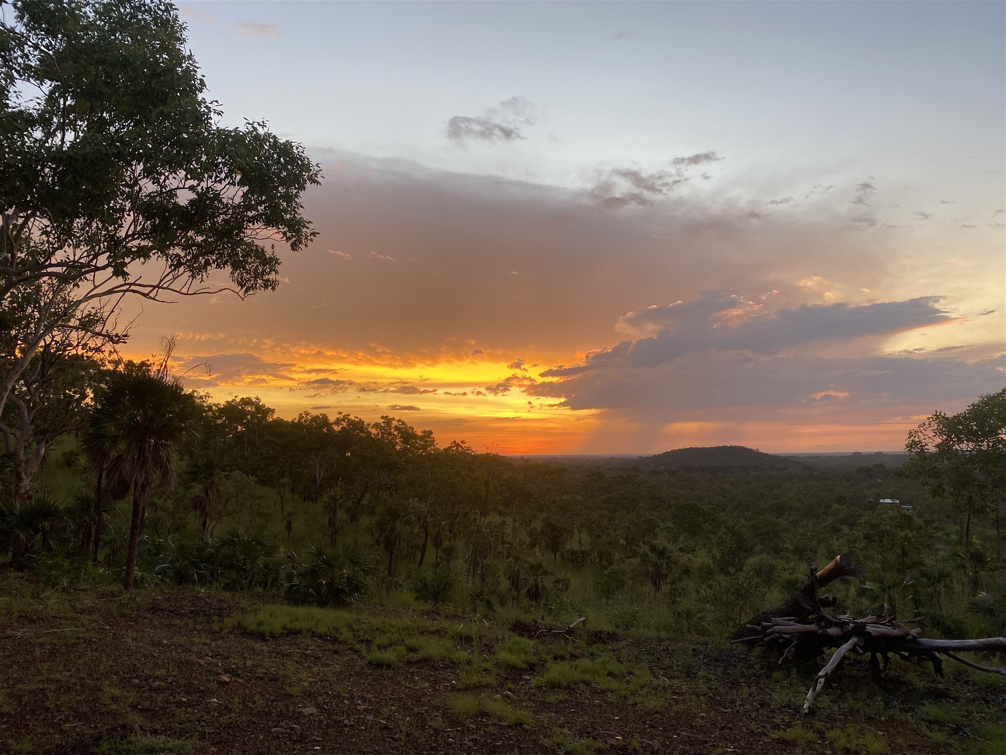 331 Wooliana Road, Daly River For Sale by Farmbuy.com - image 20