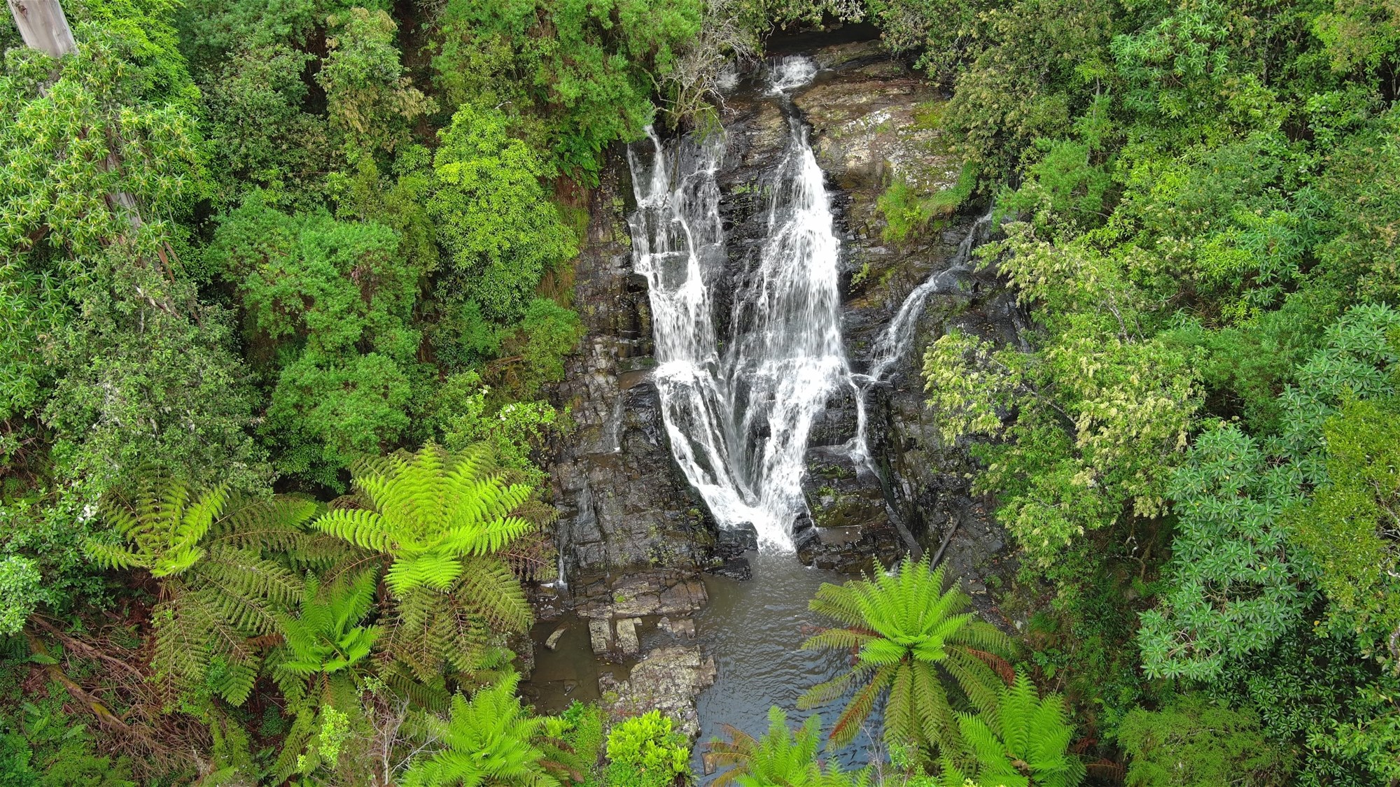 Grand Ridge For Sale by Farmbuy.com - image 11