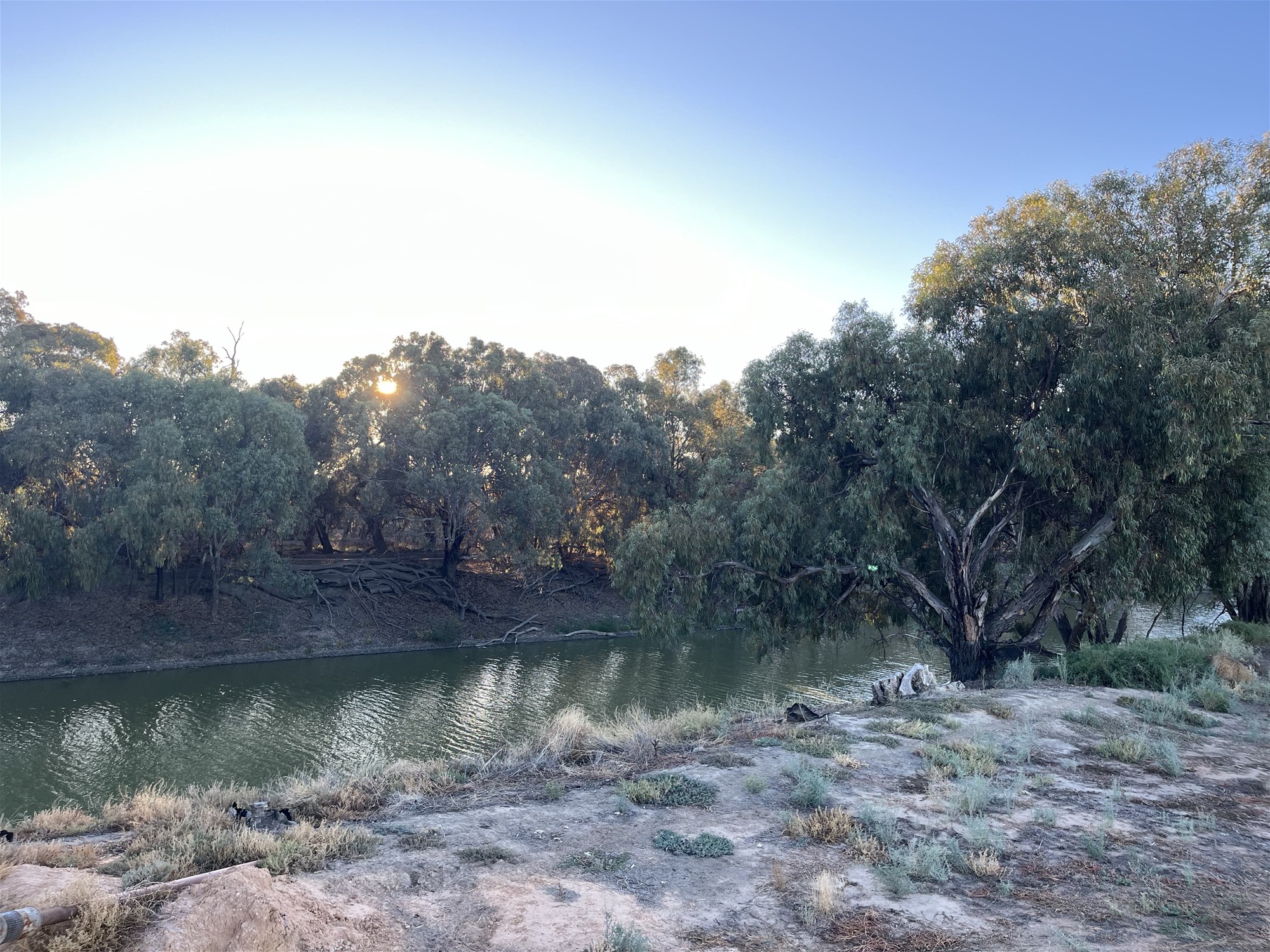 123 Budgie Street, Menindee For Sale by Farmbuy.com - image 5