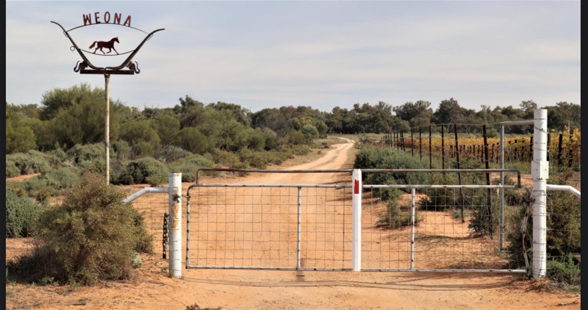 123 Budgie Street, Menindee For Sale by Farmbuy.com - image 8