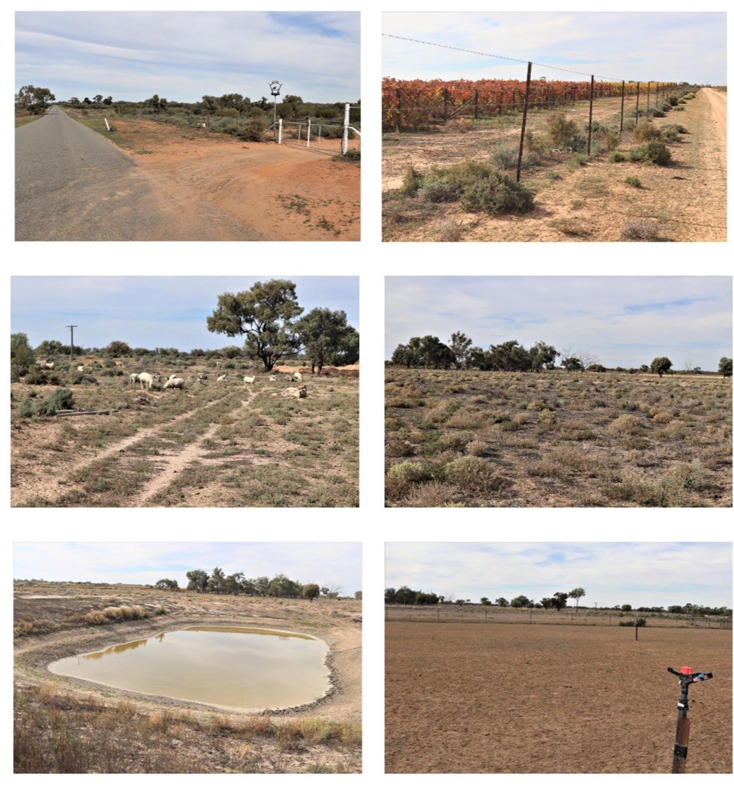 123 Budgie Street, Menindee For Sale by Farmbuy.com - image 12