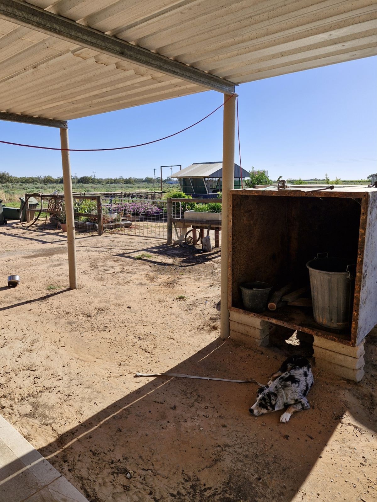 123 Budgie Street, Menindee For Sale by Farmbuy.com - image 13