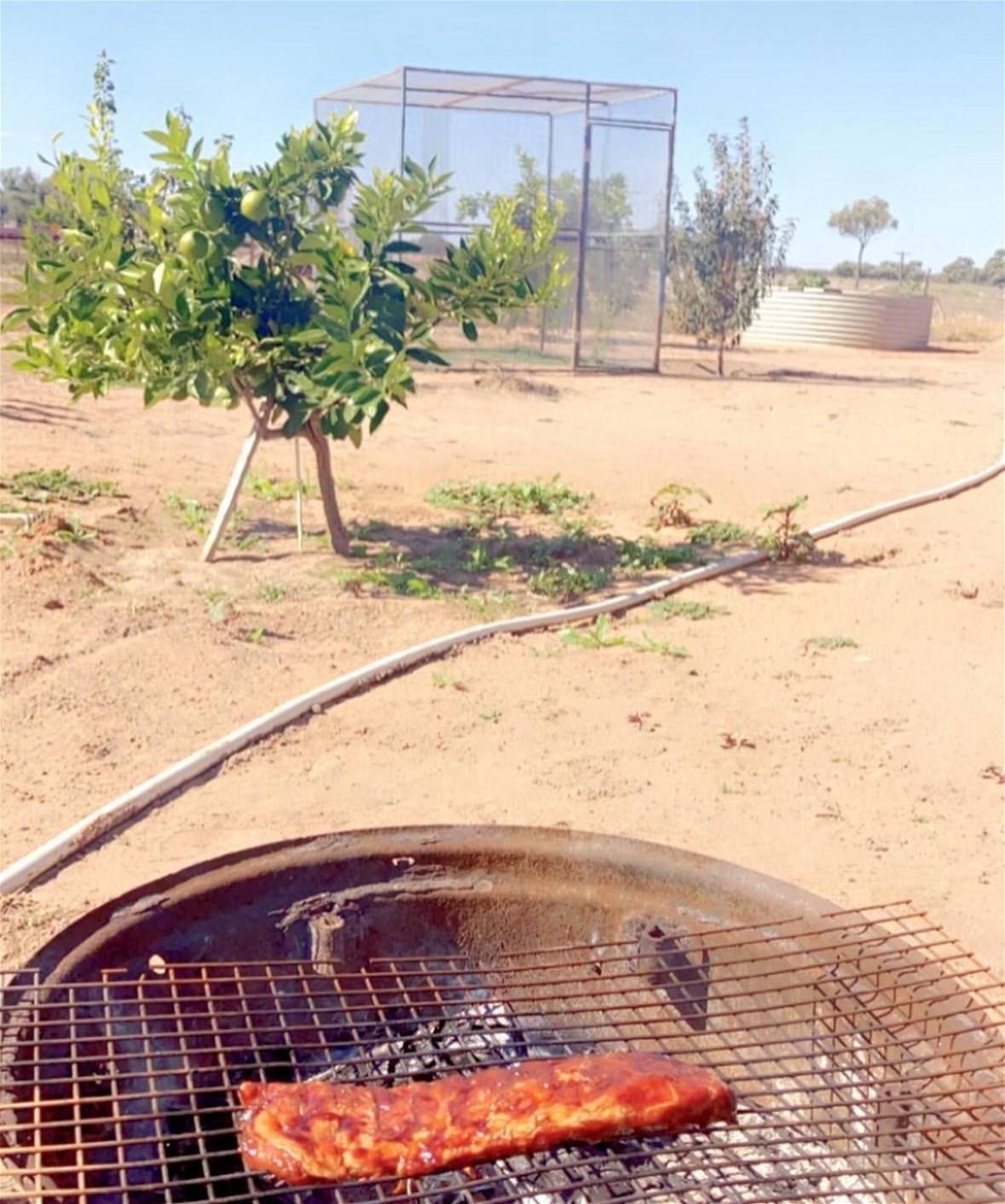 123 Budgie Street, Menindee For Sale by Farmbuy.com - image 14