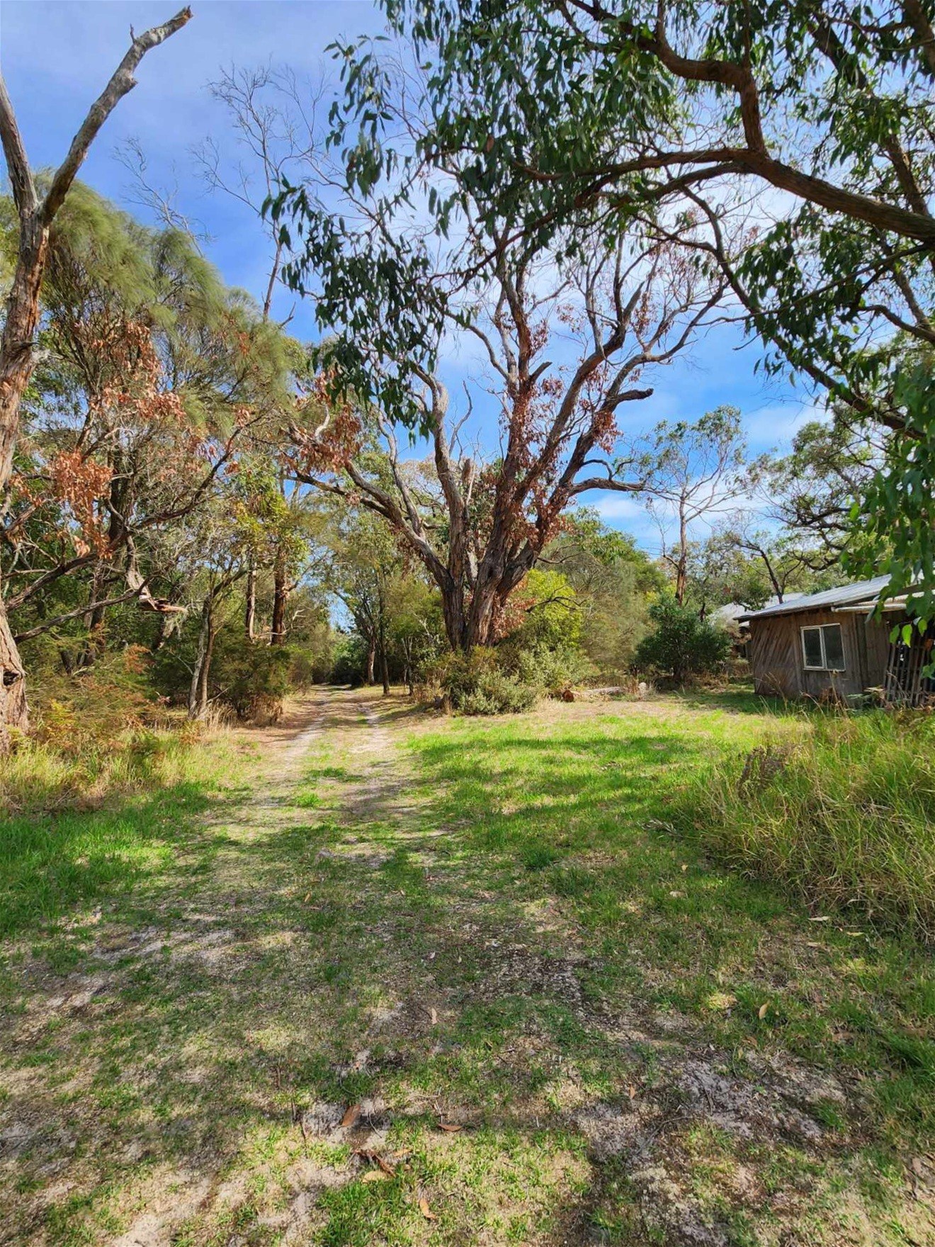 417 McBurnie And Boags Road, Tarwin Lower For Sale by Farmbuy.com - image 21