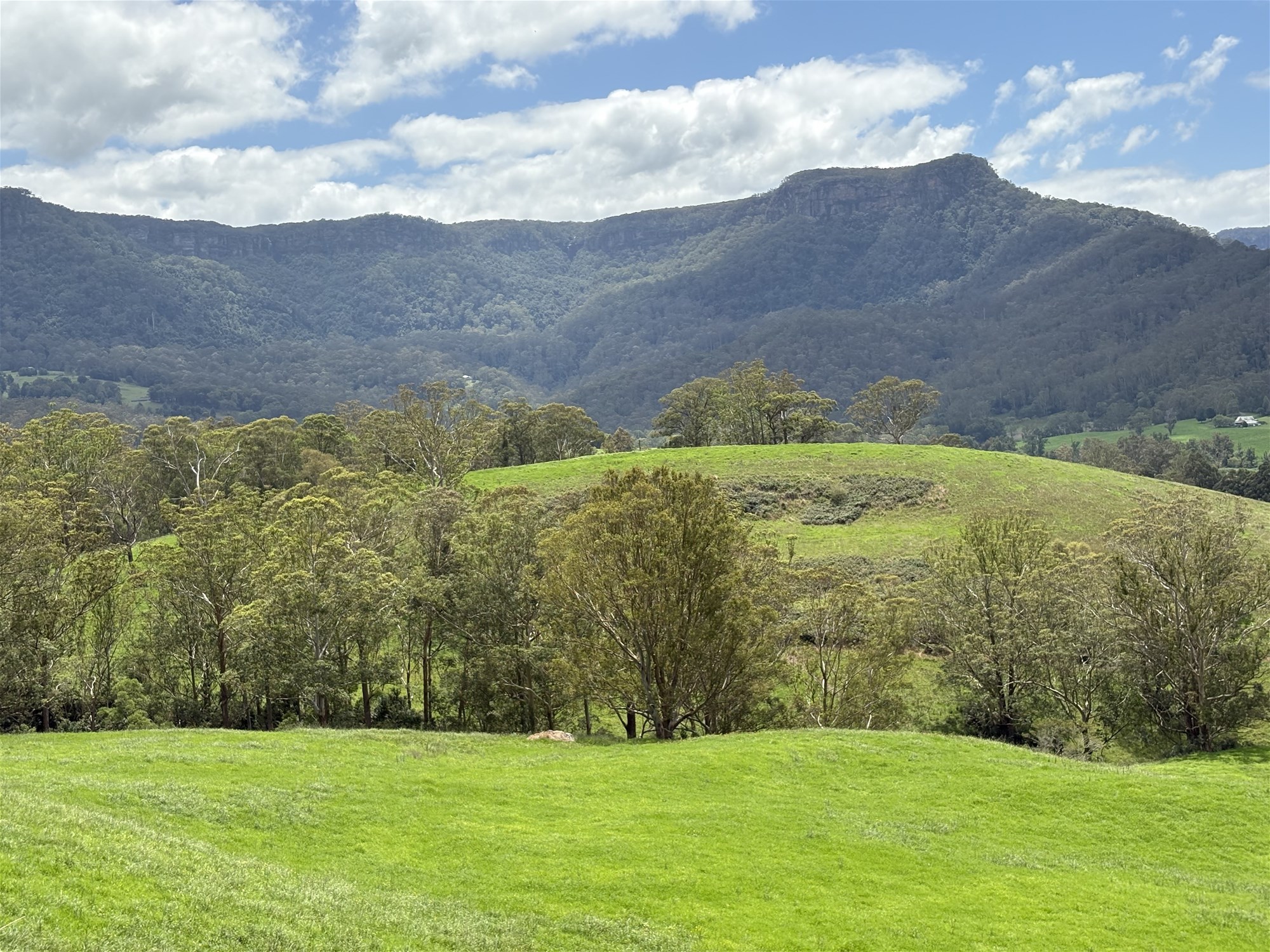 2393 Moss Vale Road, Kangaroo Valley For Sale by Farmbuy.com - image 10